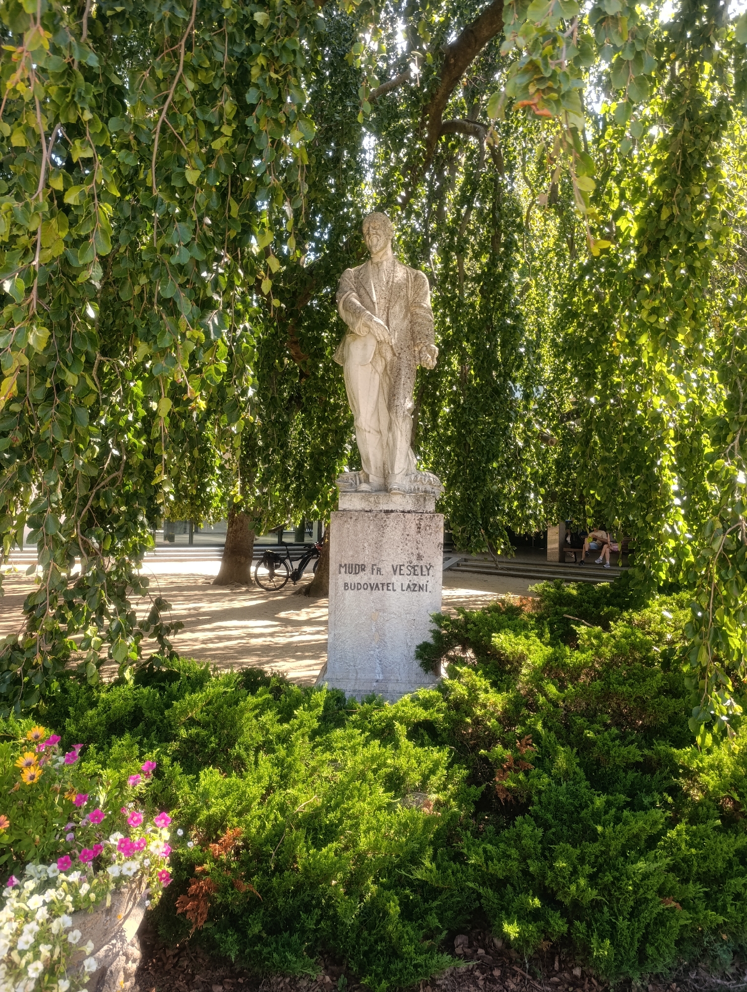 This is a vertical, eye-level, medium shot of a stone statue of a man in a suit, standing in a park. The statue is in the center of the frame, and it is partially obscured by the drooping branches of a large tree with green leaves. The base of the statue has text inscribed on it. The statue is surrounded by lush green bushes and some colorful flowers in a stone planter in the foreground. In the background, there are trees, a pathway, a bicycle leaning against a tree, and some people sitting on a bench in the distance. The sunlight is filtering through the leaves, creating dappled light and shadows on the ground. The scene appears to be set in the city of Luhačovice, Czechia, possibly in the spa park area known for its statues and greenery.