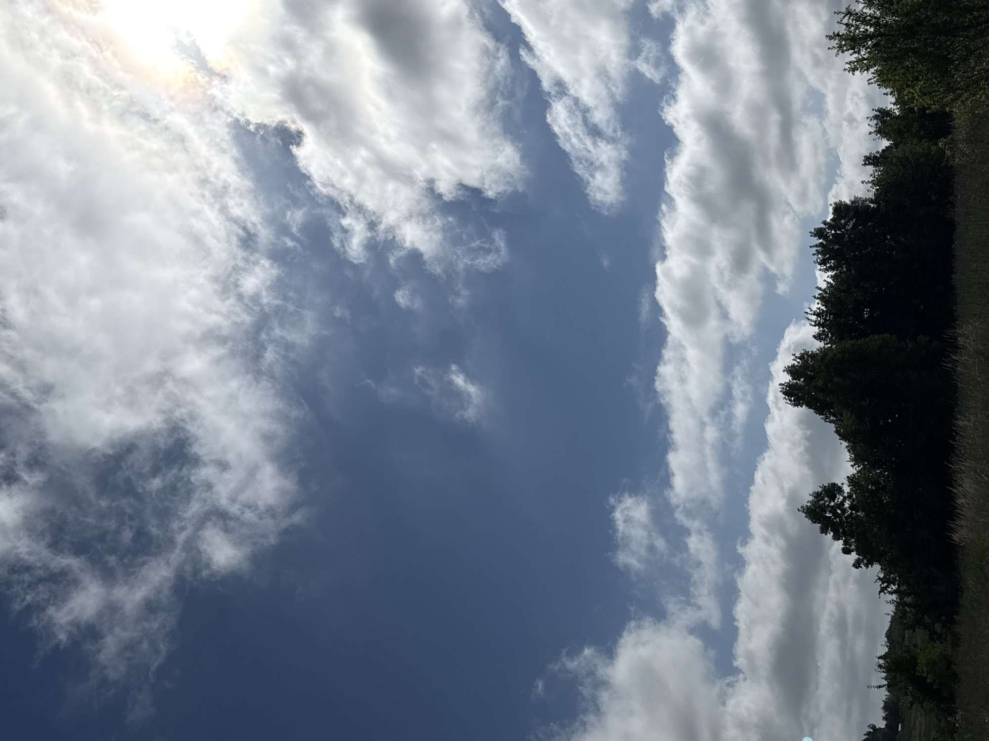 The image depicts a partly cloudy sky over a line of dark green trees and dry grass. The sun is visible on the upper right, partially obscured by clouds, casting a bright glow. The sky is a mix of deep blue and white, with the clouds appearing fluffy and somewhat scattered. The foreground is dominated by the silhouetted trees and the muted tones of the grassy landscape. The scene suggests an outdoor, natural environment. No people or specific landmarks within Kołczewo are identifiable.