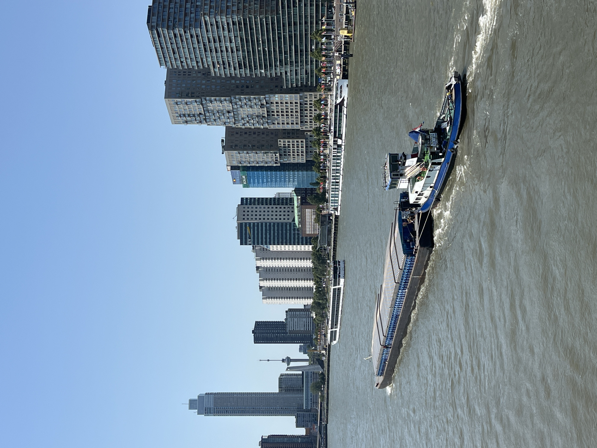 This is an aerial, eye-level, wide shot of a bright, clear day in Rotterdam, Netherlands, with the New Maas river in the foreground. On the river, a large, dark barge with a blue tarp covers its cargo is being towed by a blue and white tugboat. The tugboat has a small cabin and appears to be moving at a moderate speed, leaving a wake behind it. Further in the distance, a white cruise ship is docked along the riverbank, lined with numerous national flags. Behind the river and the docked ship, a line of modern high-rise buildings forms the Rotterdam skyline. These buildings vary in height and architectural style, with some featuring glass facades and others with more traditional concrete and steel construction. The sky is a clear, light blue, indicating good weather. The scene captures a busy port city with maritime activity and contemporary urban architecture.
