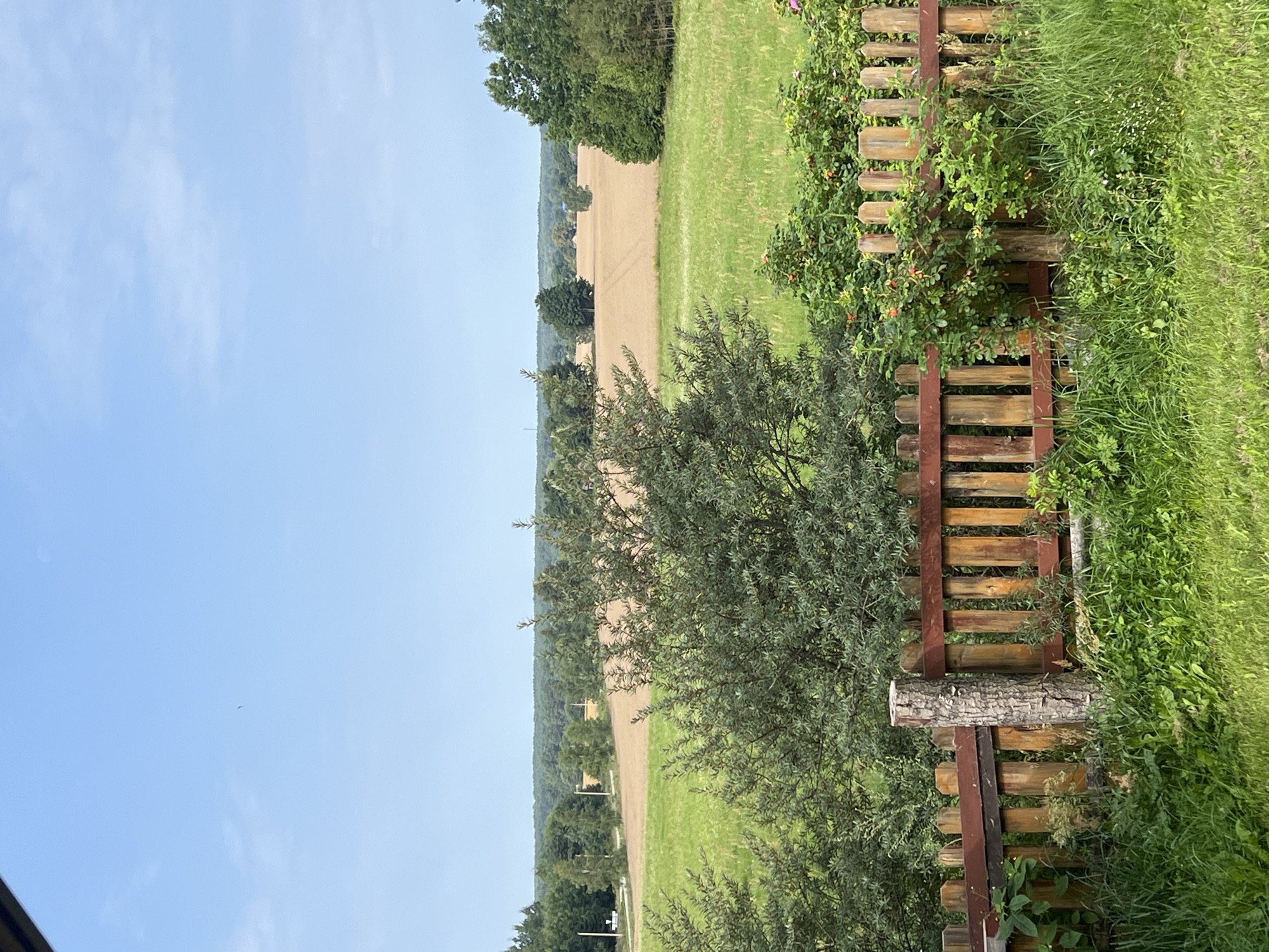 The image depicts a rural landscape on a clear day, likely in or around Daulėnai, Lithuania. In the foreground, a weathered wooden fence with red-brown accents runs horizontally across the frame, partially obscured by lush green grass and various shrubs. A thick, rough-barked tree stump stands prominently near the center of the fence.
Beyond the fence, a lush green field gives way to a field of golden-brown crops, suggesting harvest season. Scattered trees dot the landscape, forming a treeline in the distance. The sky is a pale blue with a few wispy clouds. The overall impression is one of a serene and natural environment. There are no people or animals visible in the scene, and no actions or interactions are taking place.