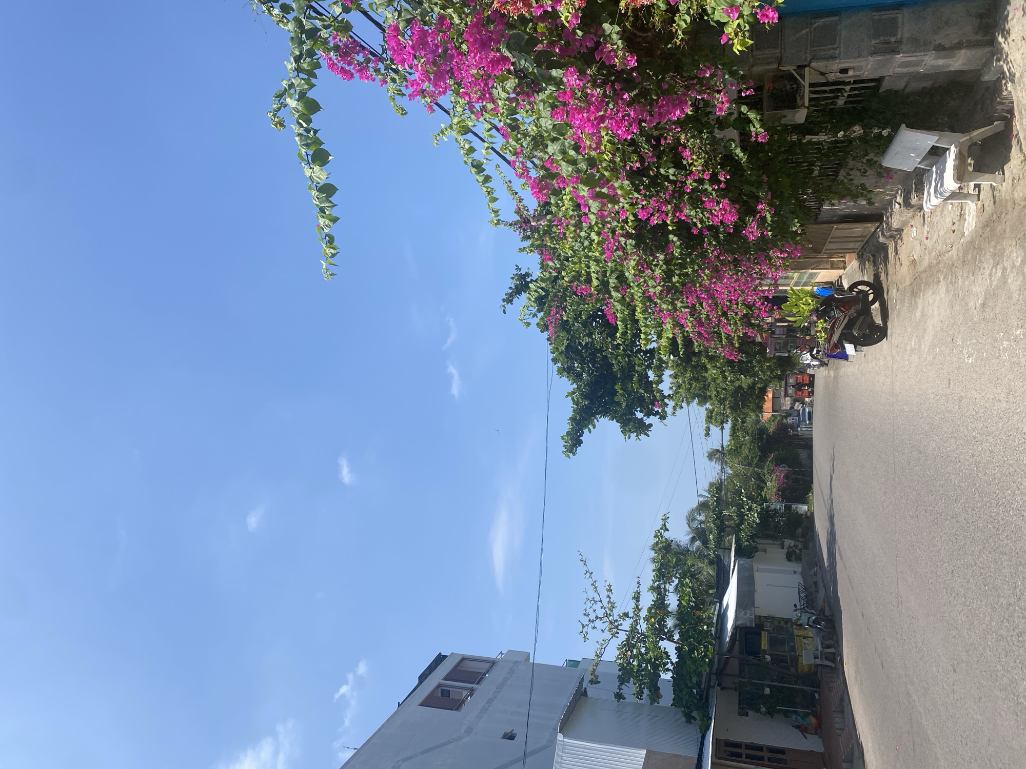 The image depicts a street scene in Mũi Né, Vietnam. A paved road runs through the center, bordered on the left by a white building and on the right by a wall adorned with vibrant pink bougainvillea. Several motorcycles are parked along the roadside. The sky is a clear blue with a few scattered white clouds. Trees with lush green foliage are visible, interspersed with the flowering bushes. The scene suggests a sunny day in a coastal town.