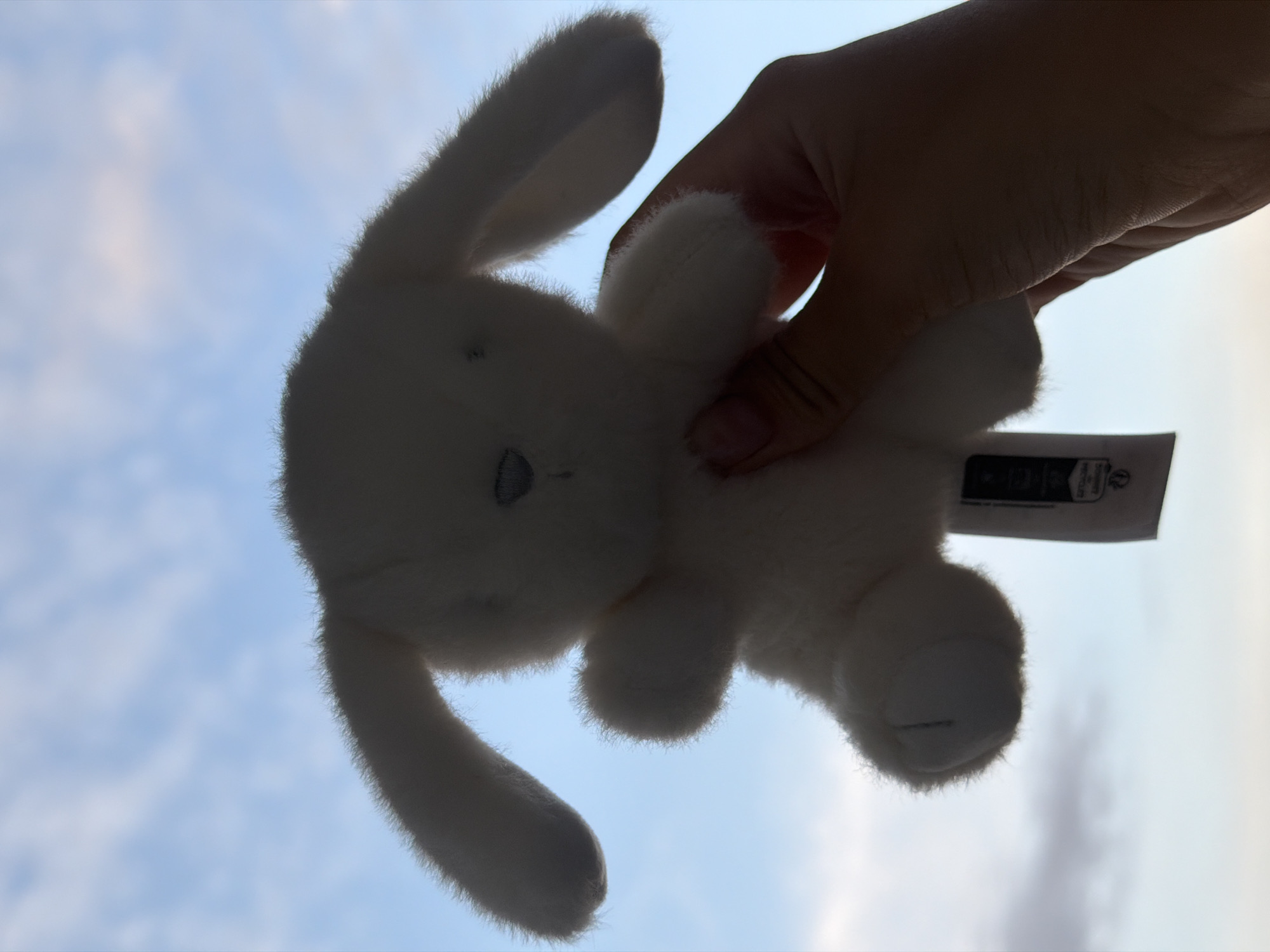 A silhouette of a white stuffed bunny is held up by a hand against a pale blue sky with scattered clouds. The bunny has long ears, small paws, and a slightly fuzzy texture. A white tag with black text is attached to the bunny's body. The hand holding the bunny is also in silhouette, obscuring any identifying features. The background suggests an outdoor setting during the daytime.