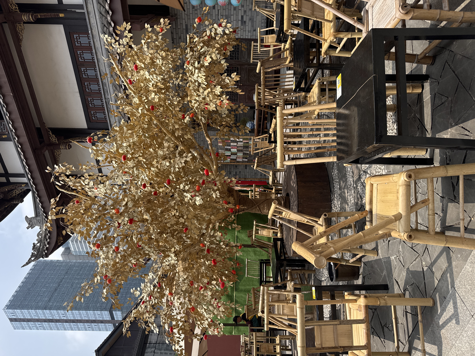 The image depicts an outdoor courtyard scene in Jinjiang District, China. A golden-leafed tree with red fruit-like decorations stands prominently in the left center of the frame. Around the tree and across the courtyard, there are numerous light-colored, bamboo-style chairs and black tables arranged on a paved surface. In the background, traditional Chinese architecture is visible on the left, contrasting with a tall, modern skyscraper in the distance. A patch of green artificial turf is seen in the mid-ground. A person is discernable on the artificial turf. Lanterns hang in the upper background. The scene appears to be a commercial or recreational space, possibly a restaurant or café.