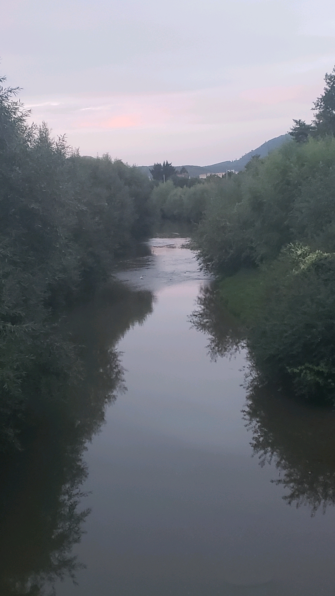 A vertical, eye-level shot captures a calm, dark river flowing through a densely vegetated valley. The river's surface is reflective, mirroring the overcast sky and the lush green foliage that crowds its banks. The trees on either side of the river are tall and dense, creating a tunnel-like effect. In the distance, the landscape opens up to reveal rolling hills and a few buildings, suggesting a settlement nestled within the valley. The sky is a soft, pale gray with hints of pink near the horizon, indicative of either dawn or dusk. A single white bird is visible on the water in the middle ground. The overall impression is one of peaceful natural beauty, with the man-made elements subtly integrated into the environment. This scene is likely located along one of the smaller tributaries flowing into the Torysa river on the outskirts of Prešov, Slovakia, where such natural valleys and riverside vegetation are common.