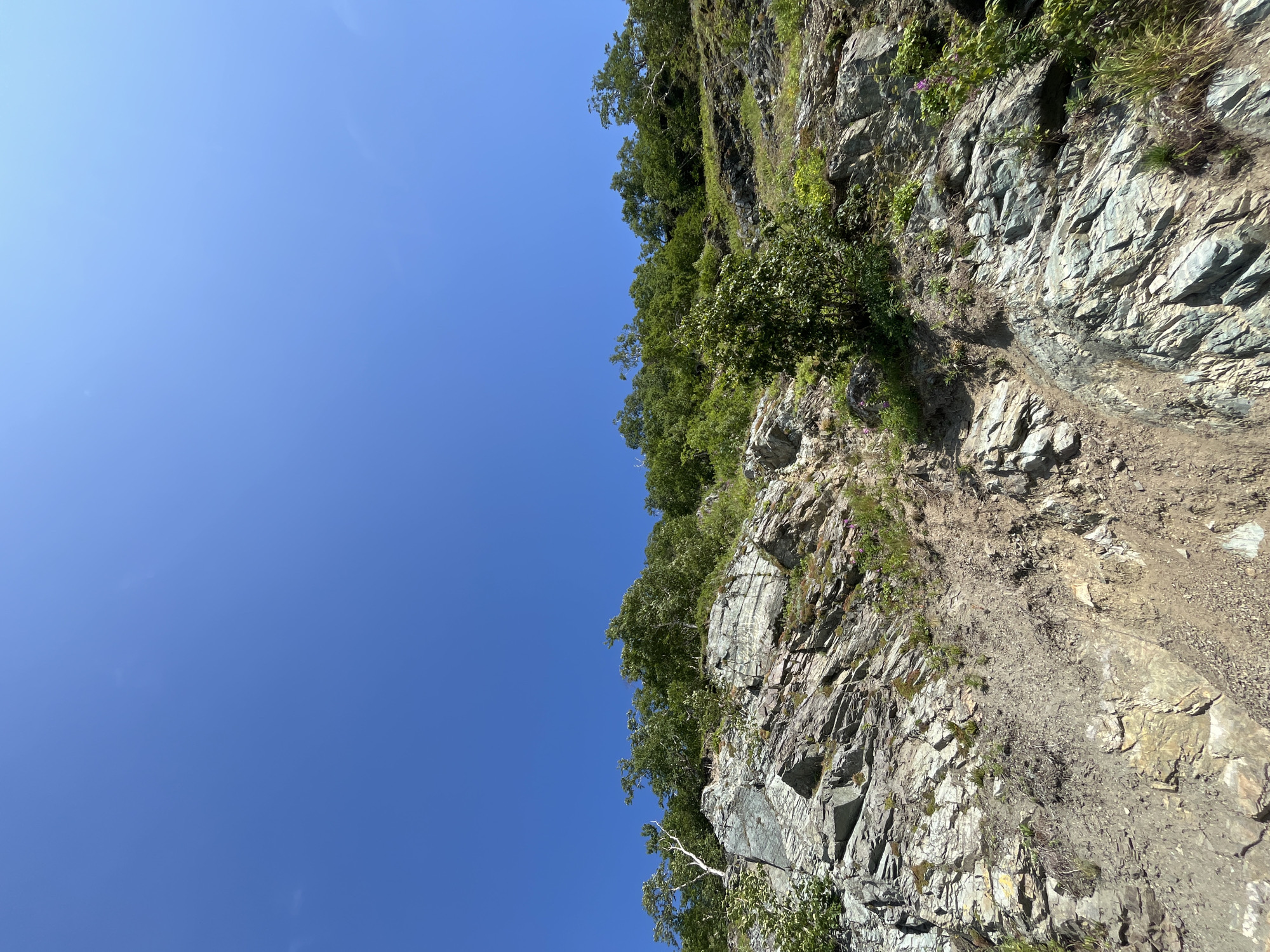 The image depicts a steep, rocky incline covered with sparse vegetation and trees. The terrain is rough, with visible layers of rock and soil, suggesting a natural geological formation. A clear blue sky dominates the upper portion of the image. The scene appears to be an outdoor natural environment, possibly a hillside or cliffside. It is difficult to definitively ascertain the specific location within Petropavlovsk-Kamchatsky, Russia based solely on this image, as it lacks identifiable landmarks or urban features.