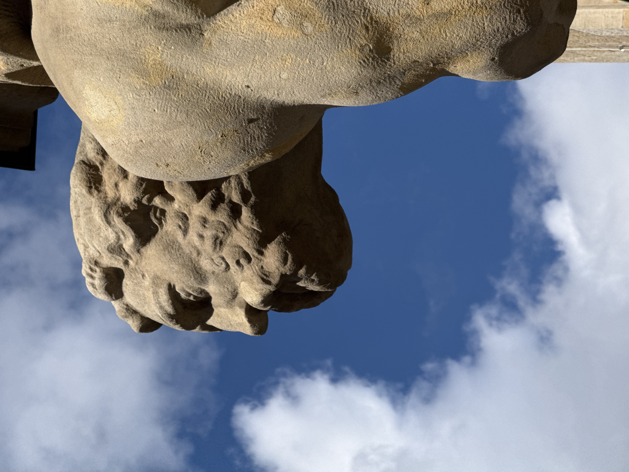 A low-angle, close-up shot of a weathered stone sculpture, possibly a head or bust, is set against a backdrop of a bright blue sky with scattered white clouds. The sculpture exhibits detailed facial features, including defined lips, a nose, and textured hair. The sculpture is of a light brownish or beige hue. The background consists of a clear blue sky with a mix of scattered, puffy white clouds, indicating a sunny day. The angle of the shot suggests the sculpture is positioned high, likely as part of a building's facade. The location is likely Berlin, Germany, due to the style and materials used in construction and decorative elements found in the city's architecture.