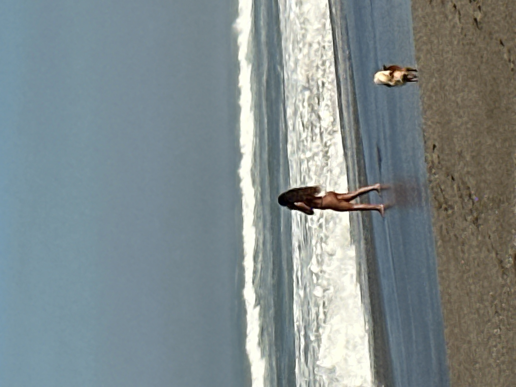 A lone person walks along the wet sand at the edge of the ocean in North Kuta, Indonesia. The person, whose gender is not discernible from this distance and angle, appears to be nude and has long, dark hair. They are walking away from the camera towards the left of the frame. The ocean is visible behind them with moderate waves breaking. A small dog with tan and white fur stands on the sand to the right of the person, facing away from the camera. The beach is sandy with some footprints visible. The sky is a hazy blue with no clouds.