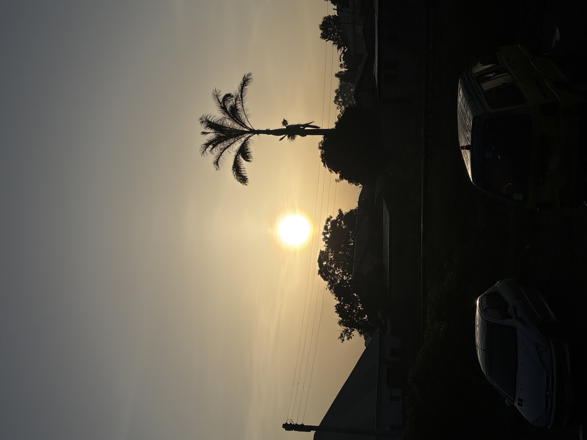 The image depicts a silhouetted landscape at sunset in Bukuru, Nigeria. The sun, a bright orb, is positioned in the upper center of the frame, casting a warm, golden light across the sky. A tall palm tree stands prominently to the right of the sun, its fronds starkly outlined against the fading light. In the foreground, two vehicles are visible, also in silhouette. To the left, a silver sedan is parked, its shape defined by the reflection of the sky on its surface. To the right, a yellow van with a red beacon on its roof is also parked. The background shows the outlines of buildings and dense vegetation, suggesting a residential or semi-rural area within Bukuru. Power lines stretch horizontally across the scene, adding to the sense of an inhabited environment. The overall mood is peaceful and serene, capturing the quiet end of a day.