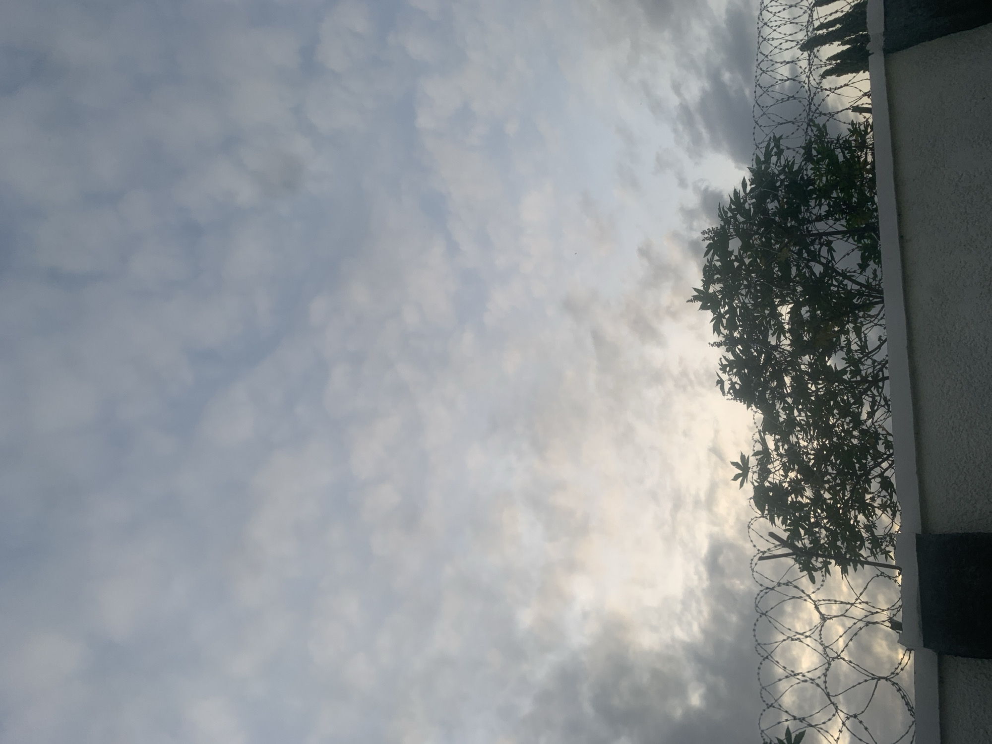 The image shows a cloudy sky above a wall topped with barbed wire. Silhouetted trees are visible behind the barbed wire, with the sky peeking through their branches. The wall itself is textured and appears to be made of concrete. The overall lighting suggests it is either early morning or late afternoon. The scene is set in Jalingo, Nigeria. There are no people or animals visible in the image.