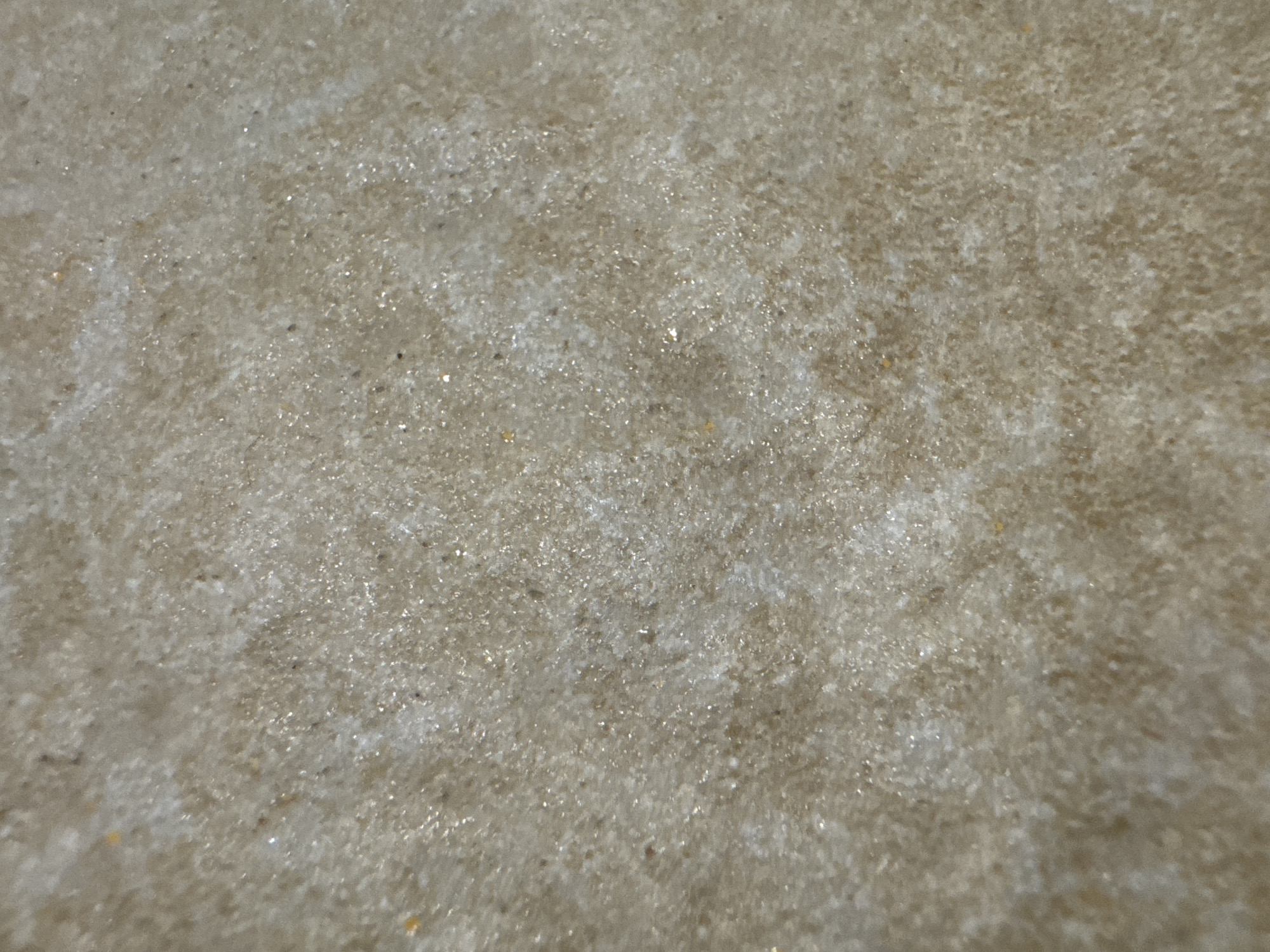 The image is a close-up, textured, abstract view of a sandy or granular surface. The color palette is dominated by light browns, beiges, and whites, with numerous small, reflective particles scattered throughout, suggesting the presence of mica or other crystalline materials. There are no discernible objects, people, actions, or interactions visible. The image provides no information about its location in the city of Astrashitskagaradokski rural council, Belarus, or any environmental context beyond the surface itself.