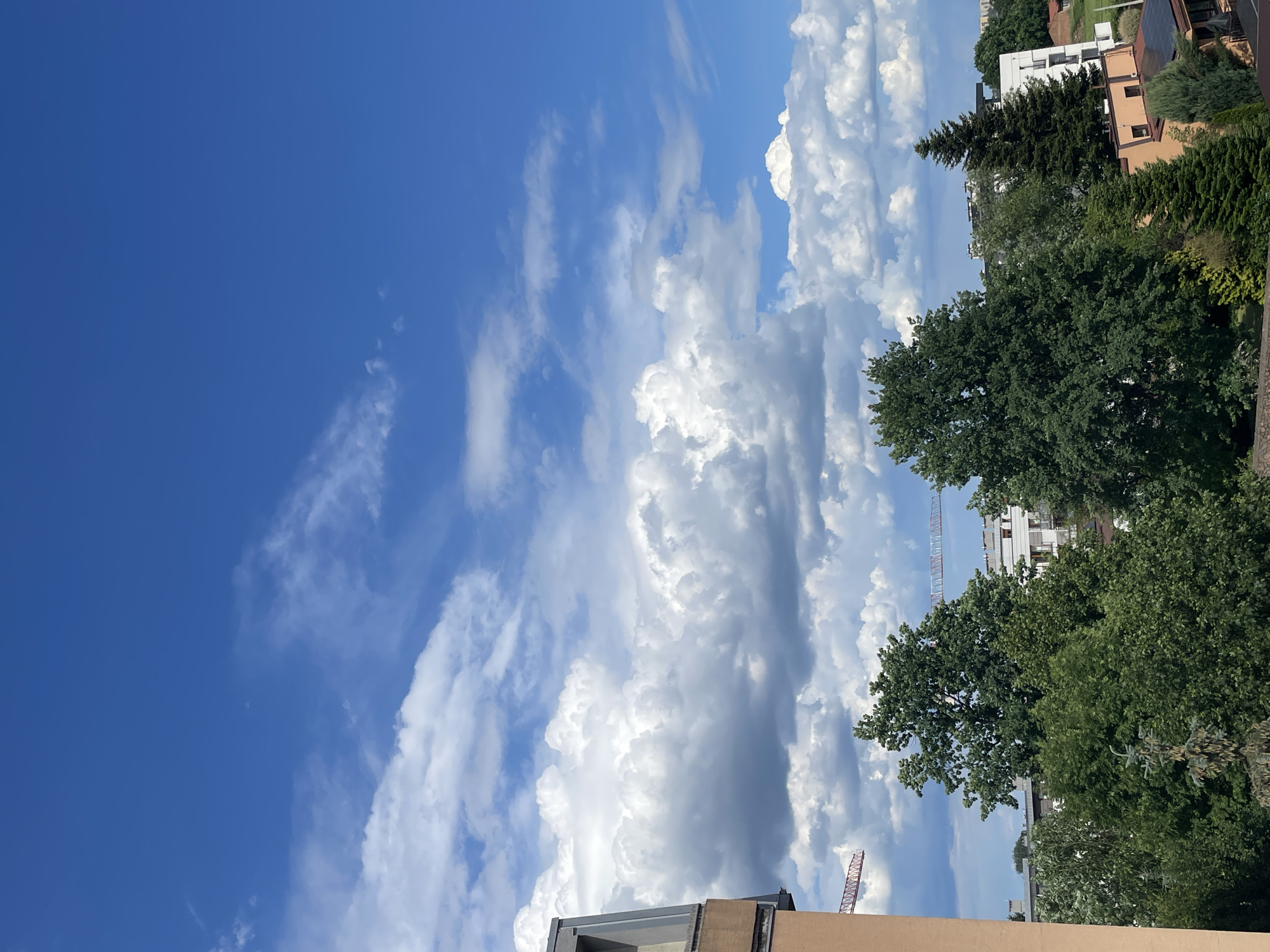 The image captures an outdoor daytime scene under a bright blue sky filled with a mix of large, bright white cumulus clouds and darker grey, denser cloud formations, with some wispy clouds visible in the upper sections. The lower half of the frame is primarily occupied by a dense canopy of various green trees, including broad-leaved and coniferous species. On the far left, a section of a building with an orangish-brown facade and a grey rooftop or upper story structure is visible. In the mid-ground, partially obscured by the trees, several buildings with light-colored facades are present. Two red lattice boom construction cranes are visible in the distance, one on the far left above the trees and another towards the right, extending above the treeline against the sky. On the lower right, a building with solar panels installed on its roof is partially visible behind the foliage. The scene suggests a suburban or urban area with ongoing development. The location is in the city of Unknown, Unknown.