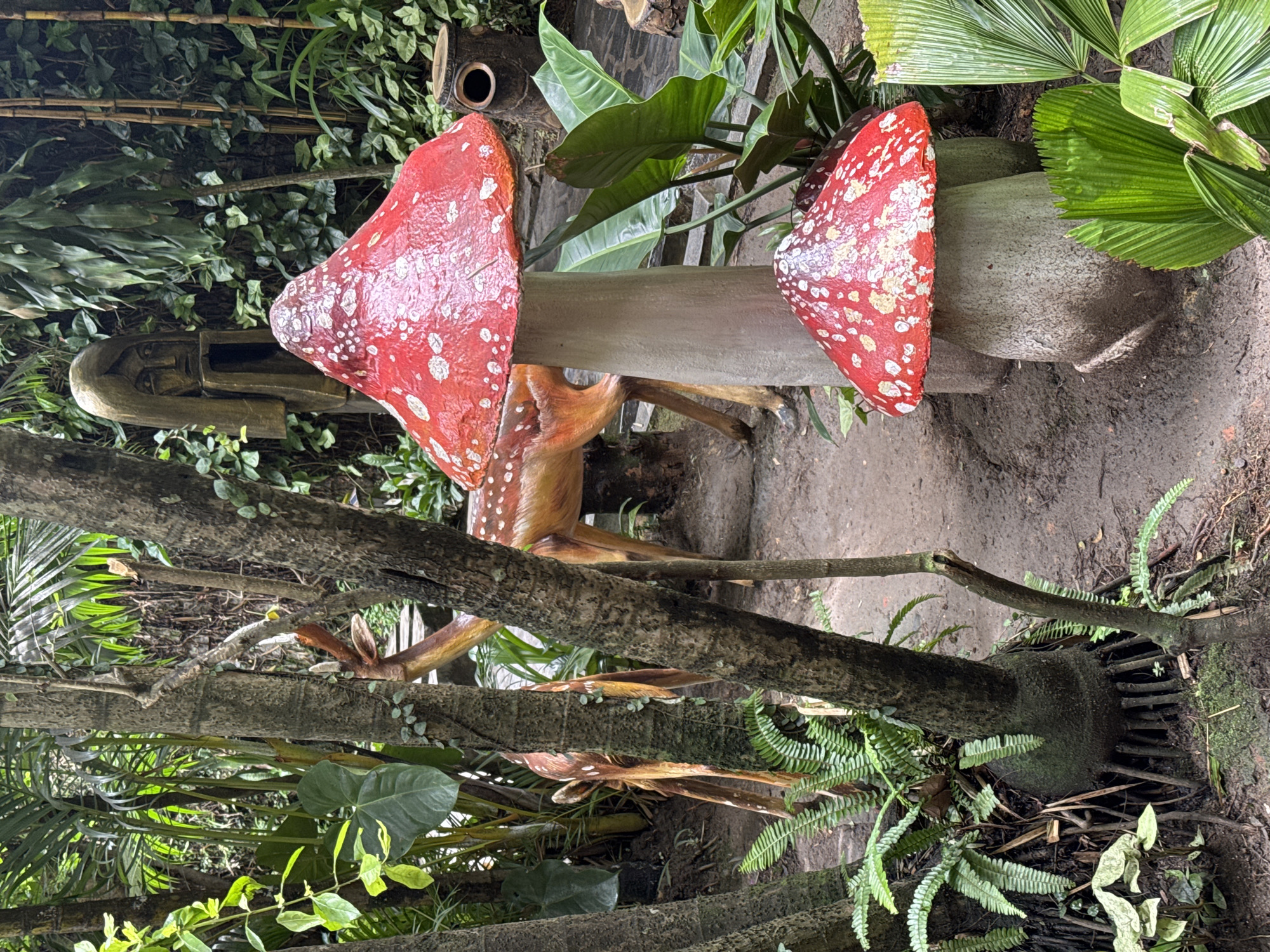 The image captures a whimsical garden scene, centered around a large, vibrant red and white spotted mushroom statue, characteristic of an Amanita muscaria. Peeking from behind the mushroom is a statue of a deer, featuring brown and white spotted fur, partially obscured by the foliage.
The setting is a lush, green environment filled with diverse plant life. This includes broad-leafed plants, delicate ferns, and climbing vines that blanket the ground and intertwine with visible tree trunks and branches. Some of the wooden elements appear to be natural trees, while others might be part of the artificial display. To the left, a carved wooden object, possibly a planter or an artistic representation of a boat or canoe, adds another decorative touch. The ground beneath is composed of dark soil and scattered organic debris.
The scene suggests a themed attraction or a meticulously designed garden, aiming to evoke a sense of fantasy or a fairy-tale forest. It is daytime, with soft, diffused lighting indicating either an overcast sky or a shaded area, creating a serene and gentle atmosphere. There is no human activity or visible text in the photograph. This picturesque display is situated in Da Lat, Vietnam, a location renowned for its scenic beauty and enchanting gardens.