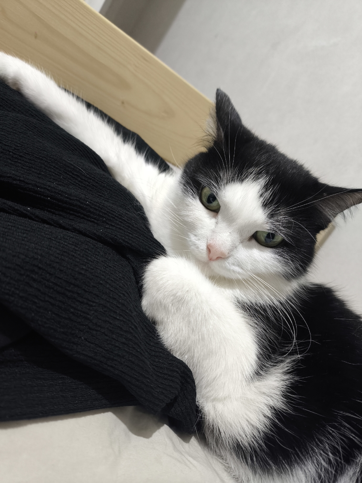 A black and white cat with green eyes is lying on a textured black fabric, possibly clothing, which is draped over a light-colored surface, likely bedding. The cat is positioned to the right of the frame, with its head turned towards the viewer and its body partially obscured by the fabric. One of its white paws is visible resting on the fabric. In the upper left portion of the image, a light-colored wooden surface, possibly part of a piece of furniture, is visible. The background is a plain, light-colored wall. The lighting appears to be artificial and originates from the front, illuminating the cat's face. There is no indication of the city of Джалиль, Russia, in the image.