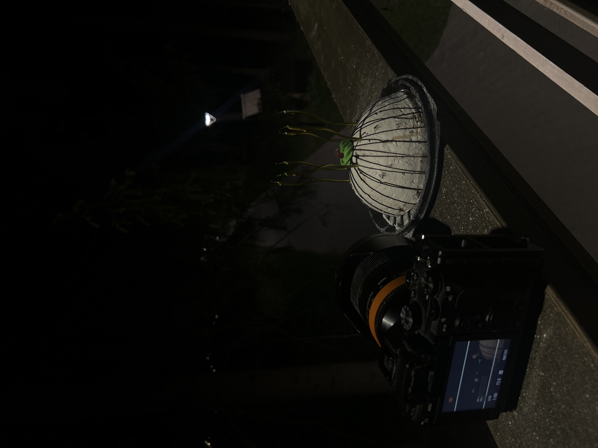 A camera is situated on a wall with a decorated cake and a streetlight in the background. The location is Votkinsk, Russia.