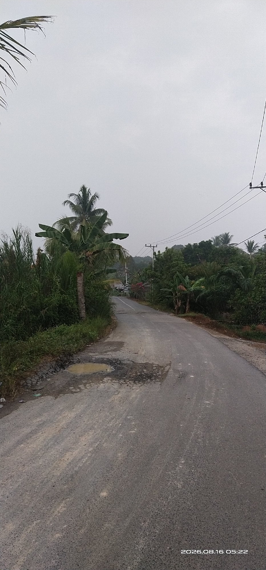 The image depicts a rural road in Muka Haji, Indonesia, with a overcast sky. The road itself is asphalt, showing signs of wear and tear with potholes and a large puddle of water on the left side. Lush green vegetation, including palm trees and banana plants, lines both sides of the road. In the distance, a few houses and utility poles are visible, suggesting a sparsely populated area. The overall impression is one of a quiet, undeveloped landscape. The timestamp at the bottom right indicates the photo was taken on August 16, 2026, at 05:22. There are no people visible in the image.