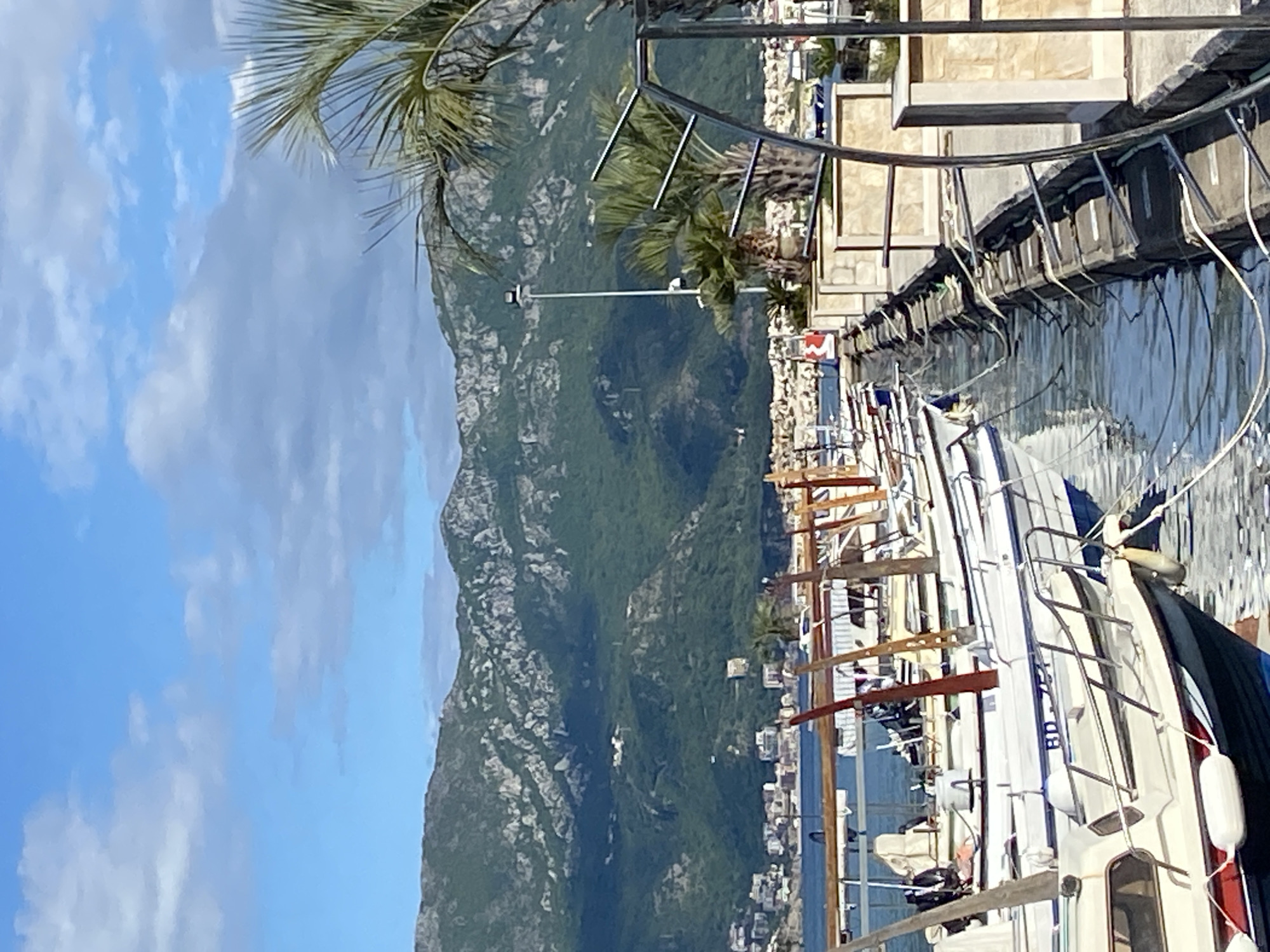 The image displays a serene coastal landscape, depicting a marina or harbor set against a backdrop of majestic mountains and a town. The scene is illuminated by bright daylight, suggesting a clear morning or afternoon.
In the foreground, several sailboats, predominantly white with some dark accents, are moored in calm, clear blue water. The water reflects parts of the boats and the adjacent pier. A sturdy pier with distinctive metal railings extends along the right side of the frame, providing mooring for the vessels. White cylindrical fenders hang along the sides of the boats. On one of the boats, the letters "BD" are faintly visible, likely part of its registration.
Beyond the marina, a coastal town stretches along the base of the mountains. Numerous buildings, varying in size and style, are visible, interspersed with lush green palm trees. A tall street light pole stands vertically in this section of the image.
The background is dominated by a range of large, rugged mountains. These mountains are extensively covered in dense green vegetation, with visible rocky outcrops and grey stone faces, extending across the horizon.
The sky above is a bright, clear blue, adorned with scattered white, wispy clouds, indicating fair weather. No people are visible in the image. The overall atmosphere conveyed is one of peace and natural beauty, characteristic of a scenic coastal location like Budva, Montenegro.