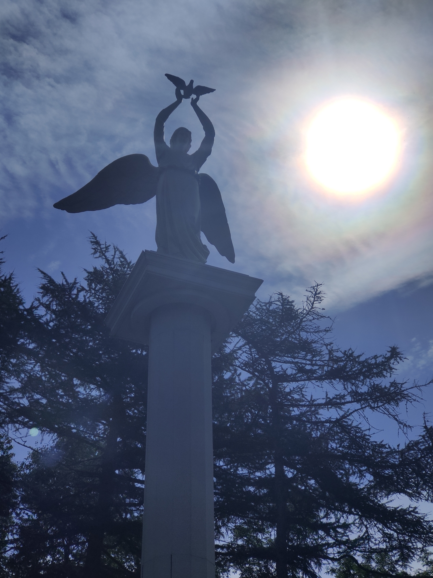 The image depicts a statue of an angel holding a dove aloft against a bright, sunlit sky in Magadan, Russia. The statue stands on a columnar pedestal. Silhouetted evergreen trees frame the statue on either side, their dark branches creating a stark contrast with the bright sky. The sun is prominent in the upper right quadrant, partially obscured by thin clouds, and exhibits a sun halo effect. The overall lighting suggests a bright, possibly midday, outdoor scene. The composition is angled upwards, emphasizing the grandeur of the statue and its placement against the celestial backdrop.