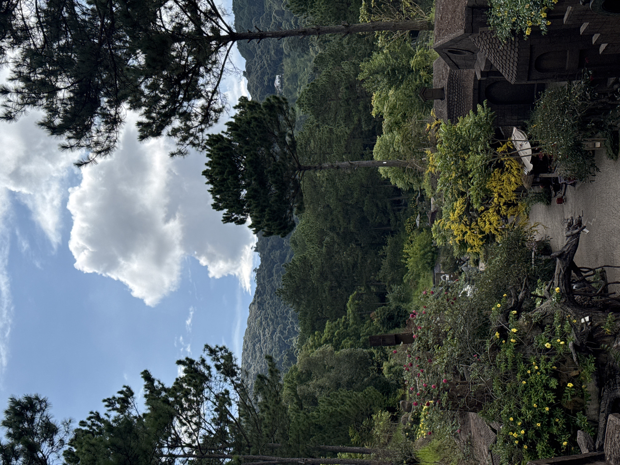 The image depicts a lush, verdant hillside in Da Lat, Vietnam, bathed in the soft light of a partly cloudy day. Towering pine trees frame the scene, their dark green needles contrasting with the bright white of scattered cumulus clouds against a clear blue sky. The landscape rolls down into a valley, densely covered in trees of varying shades of green, suggesting a temperate, possibly mountainous region.
In the foreground and mid-ground, man-made structures are partially visible, integrated into the natural scenery. These appear to be small, dark, intricately designed buildings, possibly mausoleums or decorative architectural elements, constructed from stone or dark wood with textured roofs reminiscent of scales. They are surrounded by abundant vegetation, including flowering shrubs with pink and yellow blossoms, and trees with bright yellow foliage. A cobblestone path winds through this area, indicating a maintained public space or garden. One structure features a weathered, exposed root system, adding a touch of natural artistry to the man-made elements.
The overall impression is one of serene beauty and tranquility, with the natural landscape seamlessly blending with unique architectural features. The time of day appears to be daytime, given the brightness of the sky and the illumination of the scene. No specific activity or event is clearly discernible, but the presence of the path and the decorative structures suggests a place meant for quiet contemplation or tourism. There is no visible text in the image.