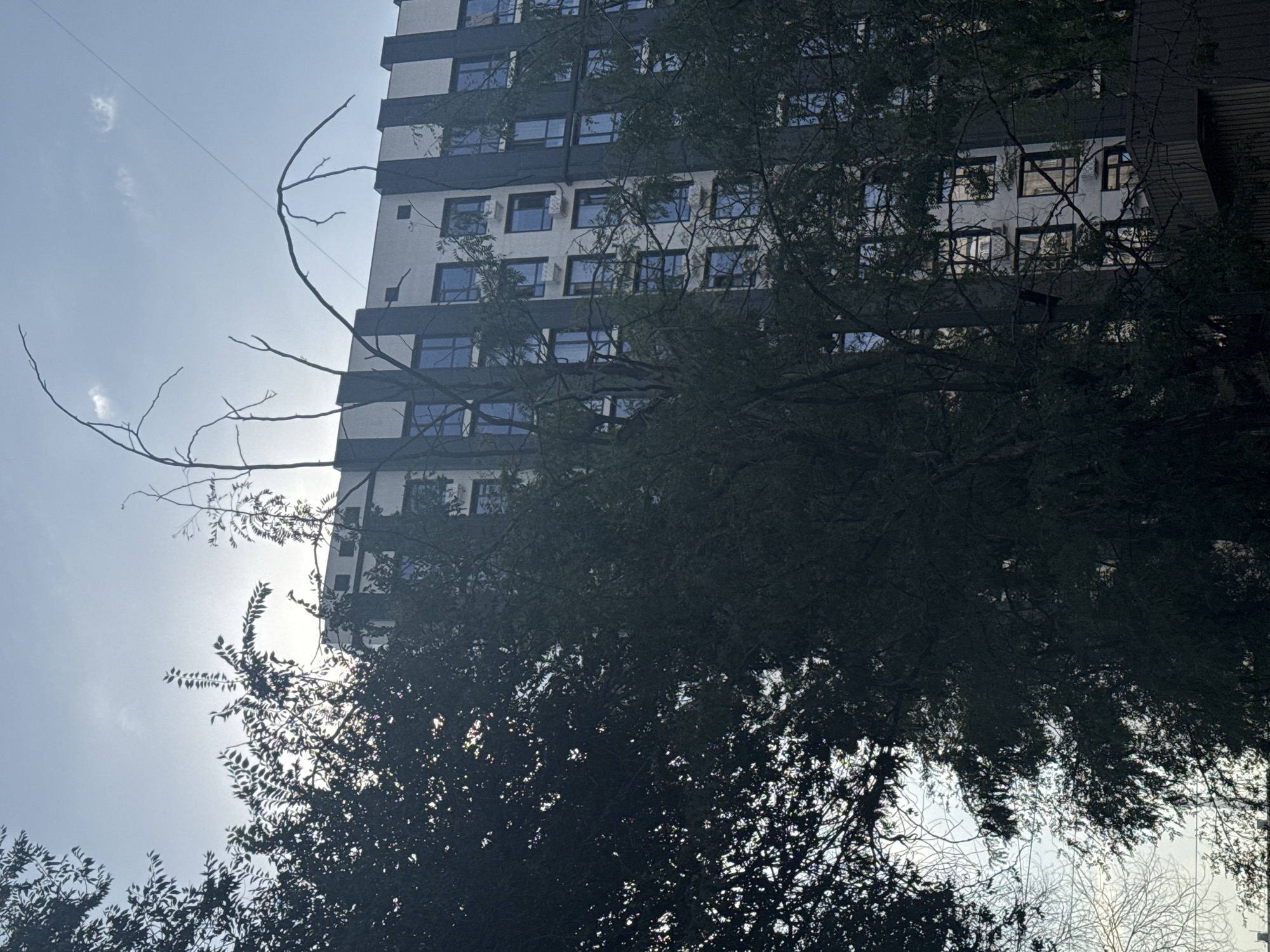 The image shows a tall building with a light-colored facade and dark vertical architectural elements, interspersed with numerous windows. The building is partially obscured by the branches and foliage of trees in the foreground. The sky is visible behind the trees, with a hazy sun and some scattered clouds. There is a thin wire stretching across the upper right portion of the image. The scene appears to be outdoors in an urban environment, potentially Bishkek City, Kyrgyzstan, given the architectural style of the building and the presence of trees. There are no people visible in the image.