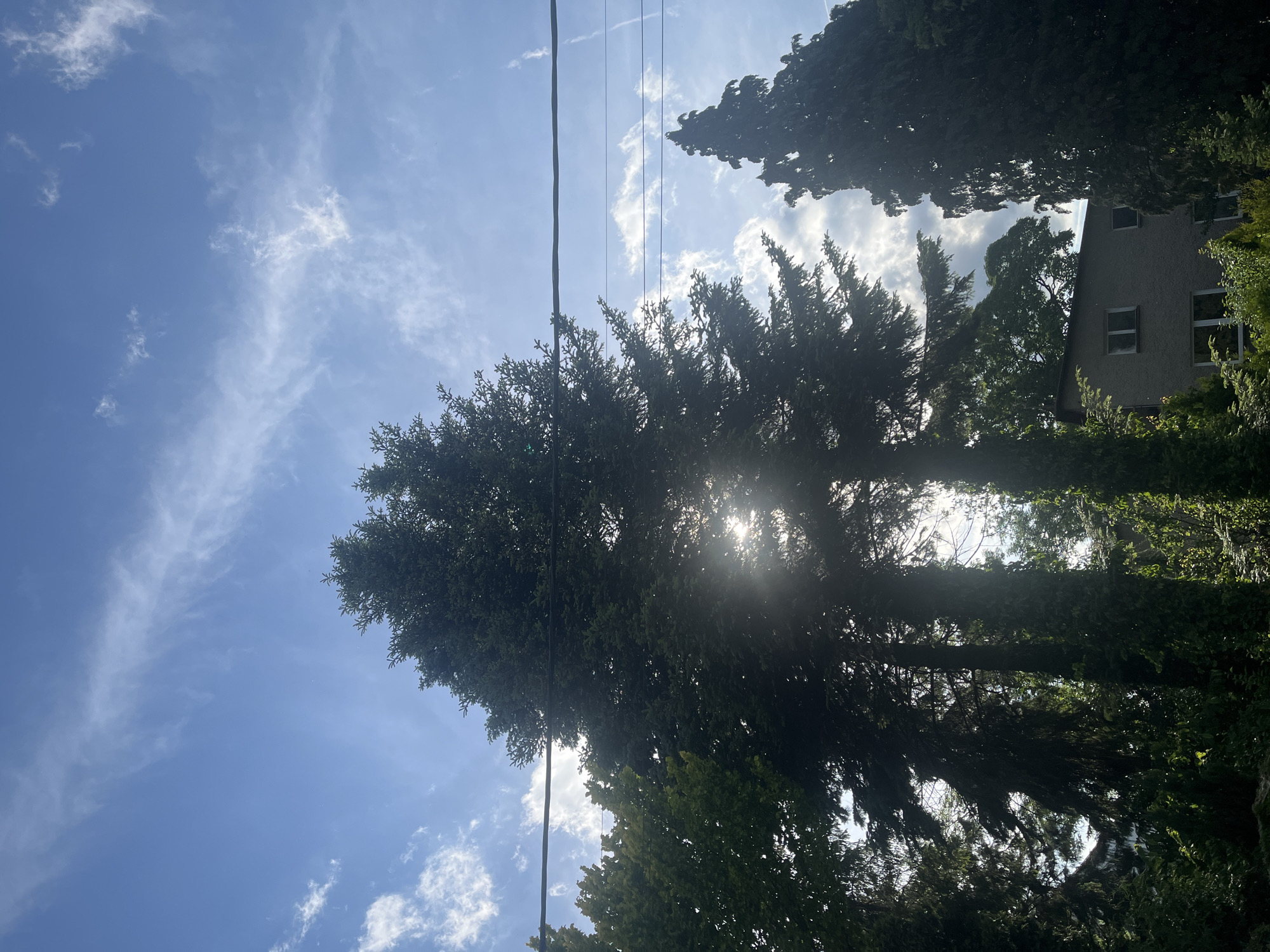The scene is an upward-facing shot in an outdoor setting. The sky is visible with blue patches and white, wispy clouds. Several tall trees dominate the view, with sunlight filtering through their leaves. In the upper right portion of the image, the corner of a building with visible windows can be seen. Power lines stretch across the top of the image. The location is Unknown, Unknown. No people are visible.