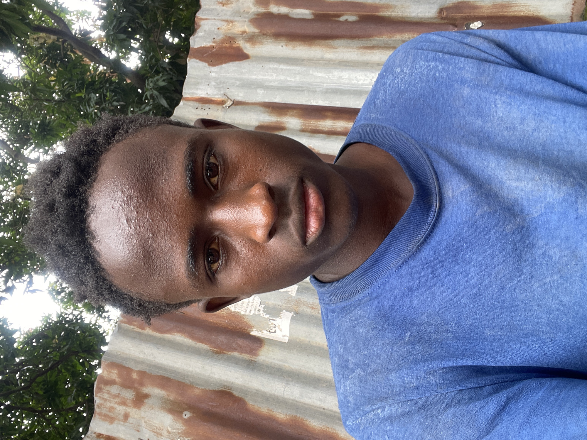 A close-up, head-and-shoulders portrait of a young Black male is captured outdoors, centered against a background of corrugated metal fencing and foliage. He has short, dark, curly hair and dark brown eyes. His skin appears dewy, possibly from sweat. He is wearing a faded blue t-shirt. The corrugated metal fence behind him is weathered and shows signs of rust and peeling paint. Some pieces of paper are affixed to the fence. Lush green leaves and branches of trees are visible in the upper portion of the image, suggesting a natural setting. The lighting indicates it is daytime, with some overcast. The overall impression is of a candid, informal moment. It is not possible to determine the specific location in Jos, Nigeria from the image alone.