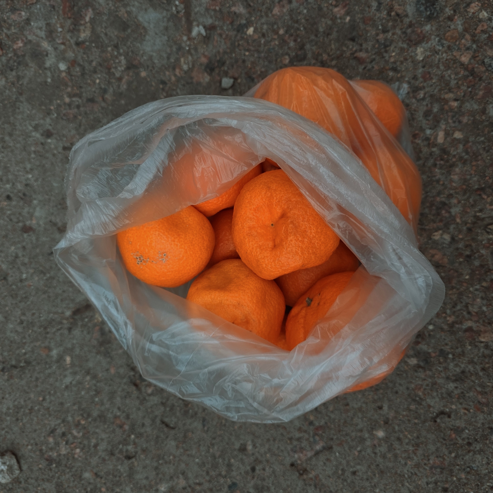 A plastic bag containing approximately 10-12 oranges sits on a rough, grey concrete surface. The oranges are bright orange in color and appear to be mandarin oranges or tangerines. The plastic bag is clear, allowing the fruit to be seen. The setting suggests an outdoor environment, possibly a sidewalk or paved area. No people are visible in the frame. The image does not provide enough information to determine if it was taken in the city of Saint Petersburg, Russia. The scene is static.