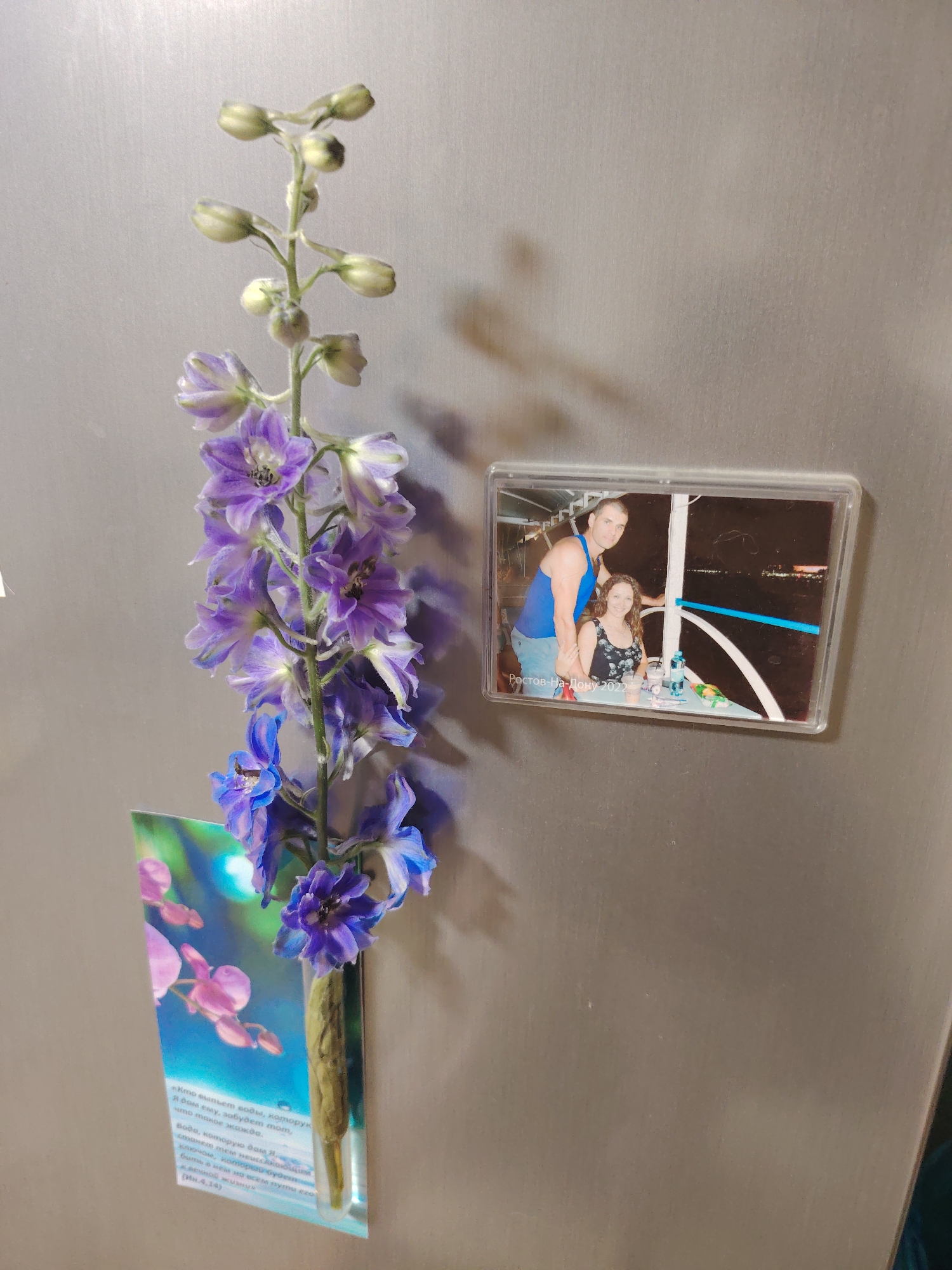 A close-up, eye-level shot shows a stalk of purple delphinium flowers attached to a vertical, silver-toned surface, presumably a refrigerator door. The flowers are on the left side of the frame, with some of them opened and others still in bud. Beneath the flowers, a rectangular insert with a holographic image of pink orchids is partially visible, containing text in a Cyrillic script that appears to be a quote, likely religious given the script style and the reference at the bottom. To the right of the flowers, a rectangular photo magnet is attached to the same surface. The magnet shows a man in a blue tank top and a woman in a black patterned top smiling at the camera. The photo is dated "Ростов-На-Дону 2022" (Rostov-on-Don 2022), indicating the location and year the photograph was taken. The background is the plain, textured silver surface.