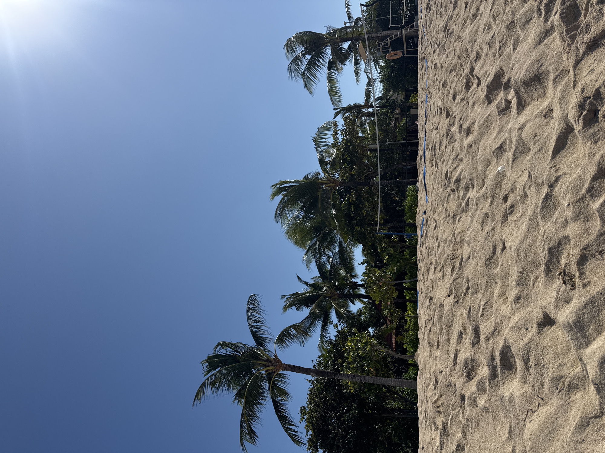 This image captures a vibrant, sunny outdoor scene, likely a beach or a tropical recreational area. The composition is divided, with a clear blue sky on the left and a sandy expanse on the right, separated by a line of trees and structures.
The left half of the image is dominated by an expansive, cloudless light blue sky. A bright sun is visible in the top-left corner, creating a distinct lens flare. Along the central vertical axis, several tall palm trees with green fronds are prominently featured, interspersed with dense green foliage. Behind these trees and vegetation, parts of man-made structures are visible, including white poles and netting, strongly suggesting a volleyball court or a similar sporting facility. A faint, round, orange-hued object can be seen hanging from one of these background structures.
The right side of the image is filled with light brown sand. The sand exhibits noticeable texture and undulations, possibly from footprints or wind patterns. A thin blue line or ribbon is partially visible embedded in the sand, running roughly parallel to the foliage line, reinforcing the idea of a marked court boundary. A small, indistinct white object rests on the sand.
No people are visible in the scene, and there is no discernible text. The bright sunlight and clear sky indicate it is daytime with pleasant weather, suggesting a peaceful and warm tropical setting. No specific activity is captured in motion, but the environment is set up for recreational purposes.