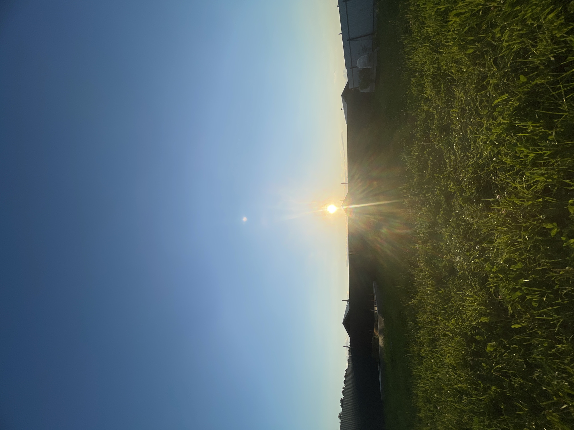 The image depicts a low-angle view of a grassy field with a clear blue sky. The sun is low on the horizon, casting a bright glow and creating lens flare effects that extend outwards. In the background, a dark fence runs horizontally across the frame, partially obscuring several dark-colored structures, possibly sheds or small buildings. The foreground is dominated by lush green grass, catching the sunlight and appearing illuminated. The scene appears to be a rural or semi-rural setting, potentially a backyard or open space near residential or utility buildings. The location is identified as Podshivalovo, Russia. There are no people or animals visible in the image.