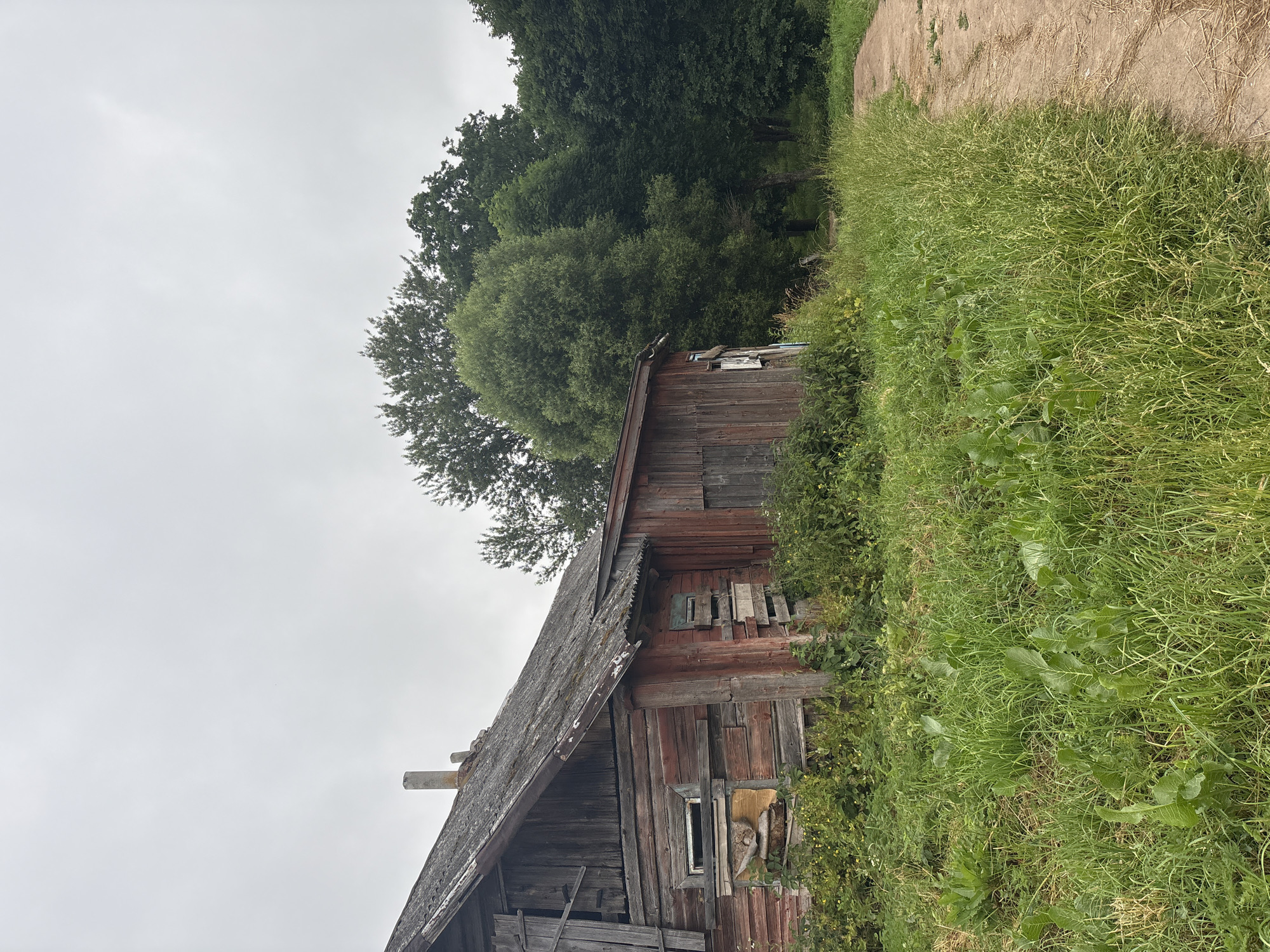 The image depicts an old, weathered wooden house in a rural setting, likely in Ashmyany, Belarus. The house is in disrepair, with peeling red paint, a decaying roof, and boarded-up windows. Overgrown grass and weeds surround the structure, and a dirt path curves away into the distance. Lush green trees form a dense backdrop to the scene. The sky is overcast, contributing to a somber and neglected atmosphere. There are no people or animals visible in the image.