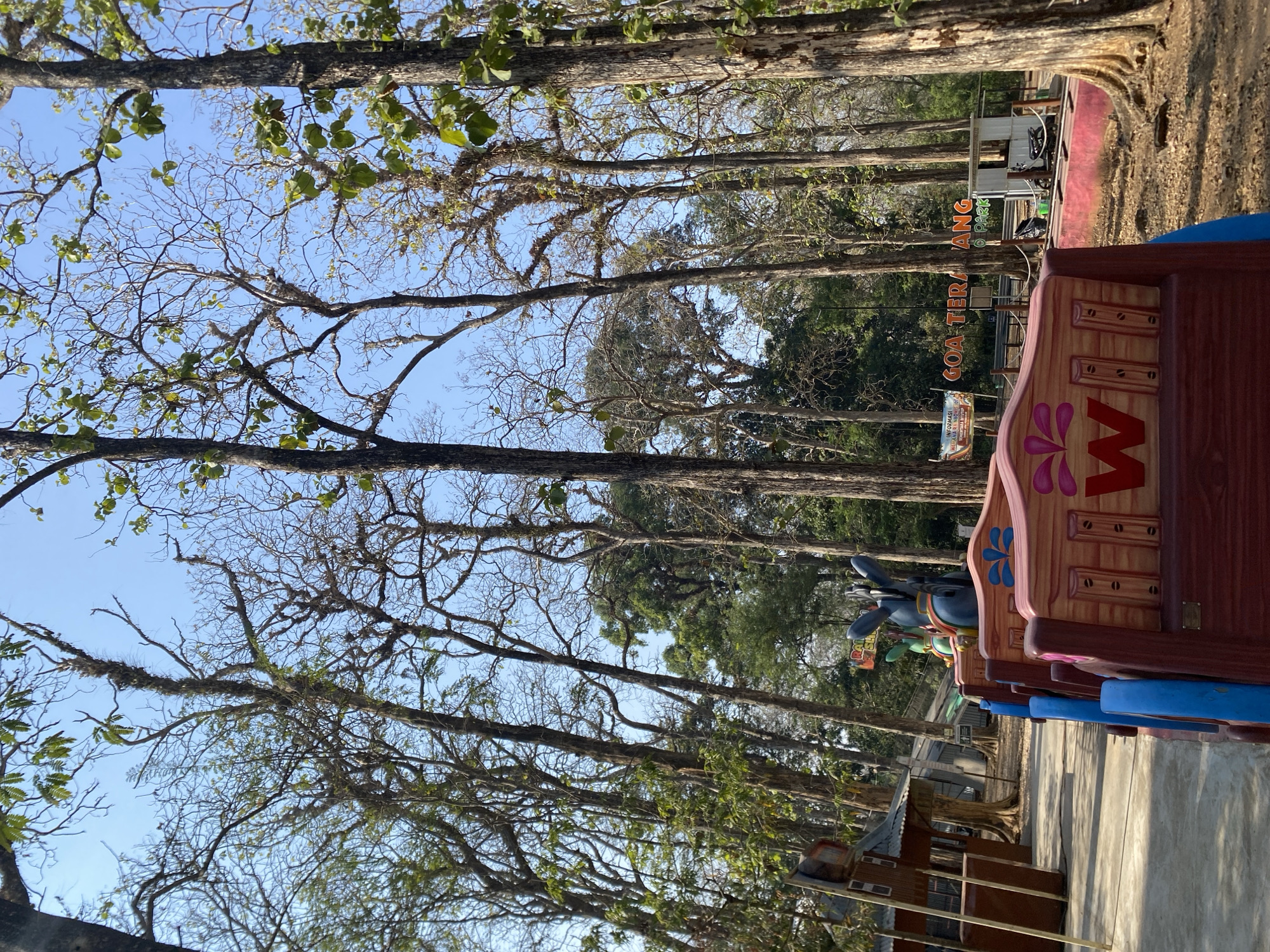 This is a low-angle outdoor shot of a theme park attraction with a natural, wooded backdrop. In the foreground, several colorful, cartoonish train cars are visible, each with a wooden plank design and a large red letter "W" on its side. Blue and pink decorative elements are present on the train cars. Behind the train cars, in the middle ground, a sign that reads "GOA TERANG ANG" is visible, along with a small white structure with a motorcycle parked in front of it. To the left, a small wooden building with a rustic roof is present. The background is dominated by tall trees with bare branches and some green foliage, characteristic of a tropical dry season. The ground is covered with dry leaves and dirt. The sky is clear and blue. The scene appears to be a tourist destination in the city of Ketileng, Indonesia, likely an amusement park or recreational area. There are no people clearly visible in the image.