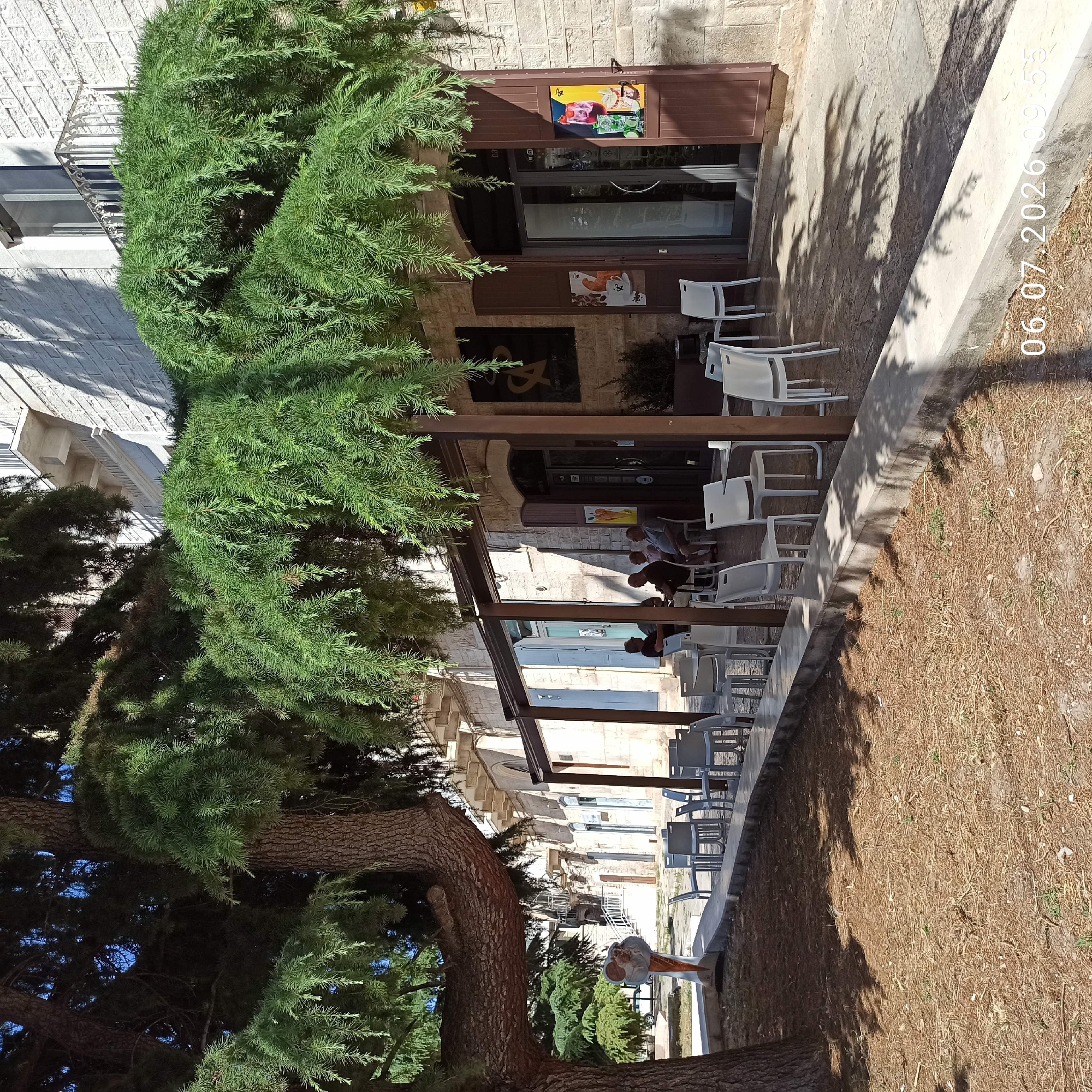 The image depicts an outdoor seating area of a cafe or restaurant in Ruvo di Puglia, Italy. In the foreground, a large, mature tree with thick branches and dense green foliage shades a patch of dry, straw-like ground cover. A low, concrete wall borders the shaded area. Beyond this, a paved patio area is furnished with several white plastic tables and chairs. Some of these tables are occupied by patrons.
The establishment itself is a single-story building with a stone facade. It features a covered outdoor seating area with wooden support posts and a brown awning. The entrance to the building appears to be a dark-colored door with glass panels. Advertisements for ice cream and beverages are visible on the exterior. The architecture suggests a traditional Italian style, consistent with a town like Ruvo di Puglia. The lighting indicates it is daytime, likely a sunny afternoon, casting distinct shadows from the tree and awning onto the patio. The overall scene conveys a relaxed, outdoor dining or cafe atmosphere.