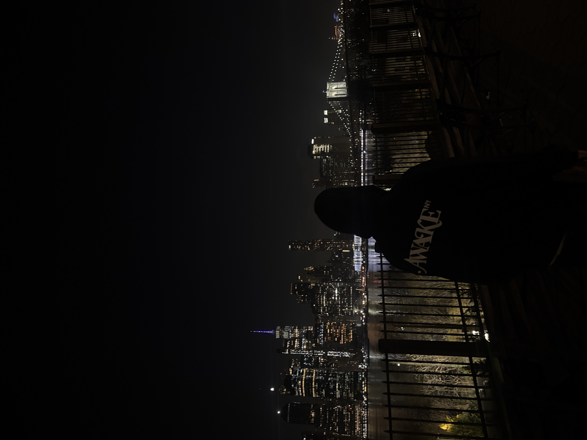 A vertical, low-light shot features a person standing at a railing overlooking the New York City skyline at night. The skyline is visible through the railing, with various buildings illuminated. The One World Trade Center is recognizable with its blue spire. The Brooklyn Bridge is also visible in the background. The person in the foreground is wearing a dark hoodie with the word "AWAKE" printed on the back. The setting appears to be an observation point or park along the waterfront.