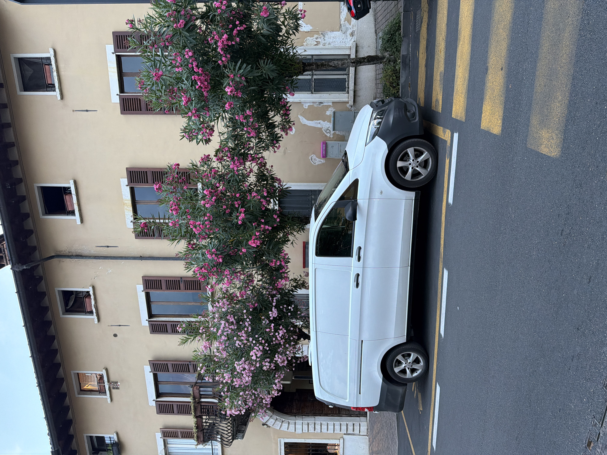 A white van is parked on a street in Salò, Italy, in front of a light yellow building. The building has multiple windows, some with brown shutters. There are trees with pink flowers in front of the building and on the sidewalk. A pedestrian crossing with yellow and white stripes is visible on the road in front of the van. The sky is overcast.