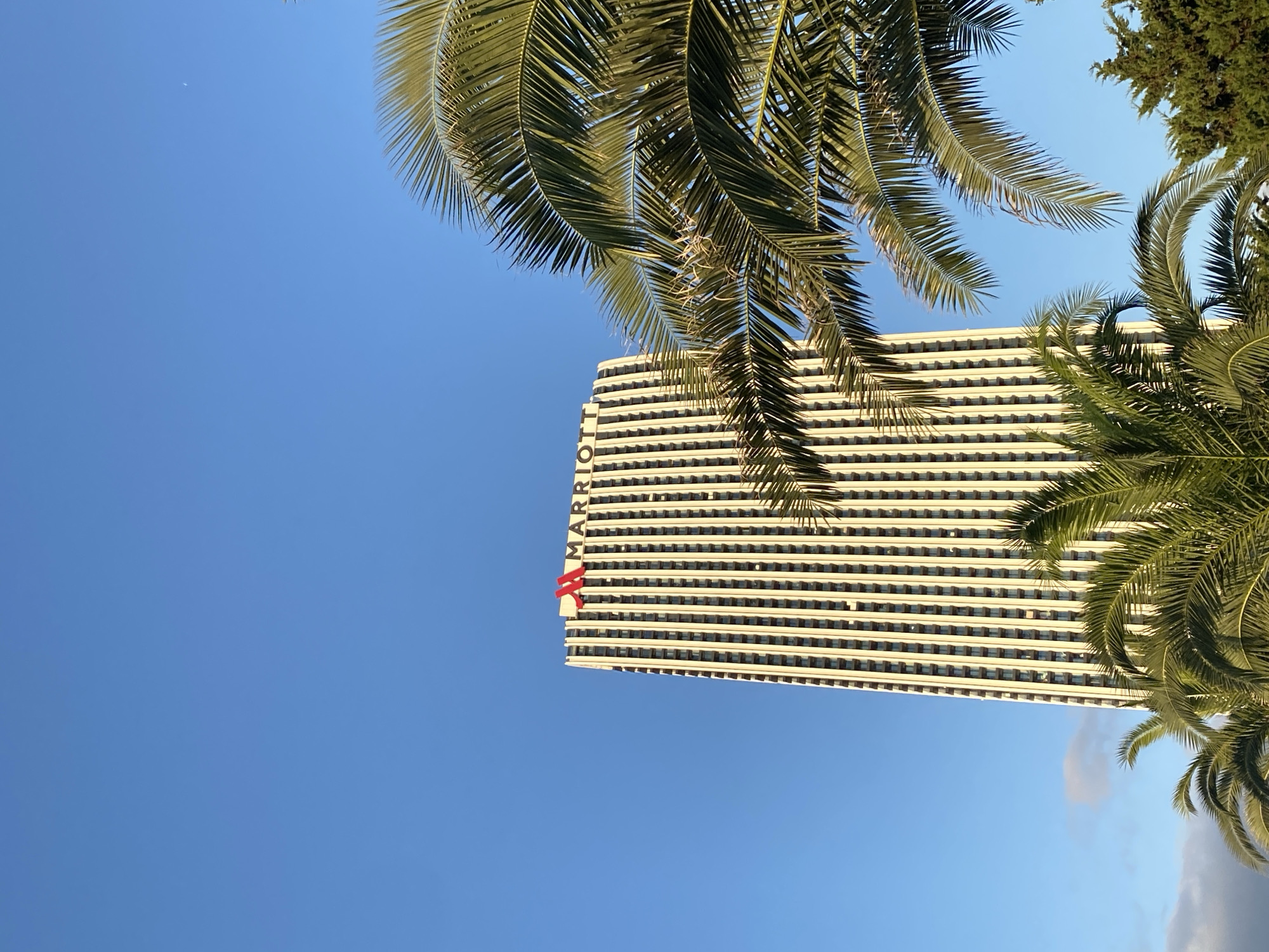 A low-angle shot captures the Marriott Hotel building in Batumi, Georgia, against a clear blue sky. The skyscraper, tall and slender, is clad in a light-colored material with numerous vertical window lines. At its apex, the red Marriott logo is prominently displayed. In the foreground, lush green palm fronds partially obscure the view of the building, creating a contrast between the tropical foliage and the urban architecture. The overall scene is bright and sunny, suggesting a warm climate.