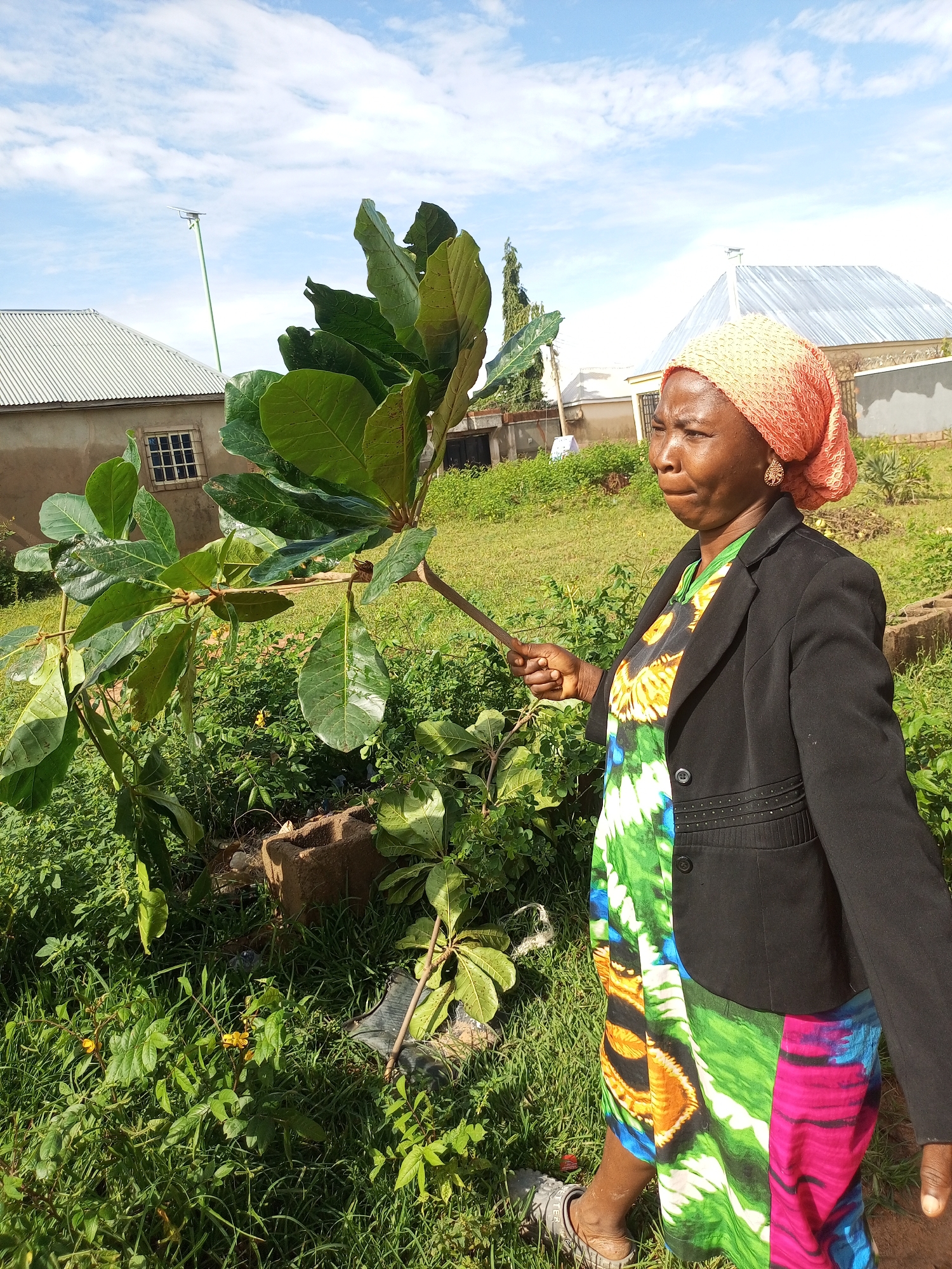 An outdoor, medium shot captures an adult woman with dark skin, wearing a black blazer over a vibrant, multi-colored patterned dress, and a light orange headscarf. She is standing to the right of a leafy tree with large, green leaves, holding a thin, light-brown stick in her right hand. Her gaze is directed towards the left. Behind her, a light gray building with a corrugated metal roof and barred windows is visible, as is another building with a similar roof in the background. The ground is covered in green grass and various plants. The sky above is bright blue with scattered white clouds. The scene appears to be set in a residential area in the city of Tempure, Nigeria.