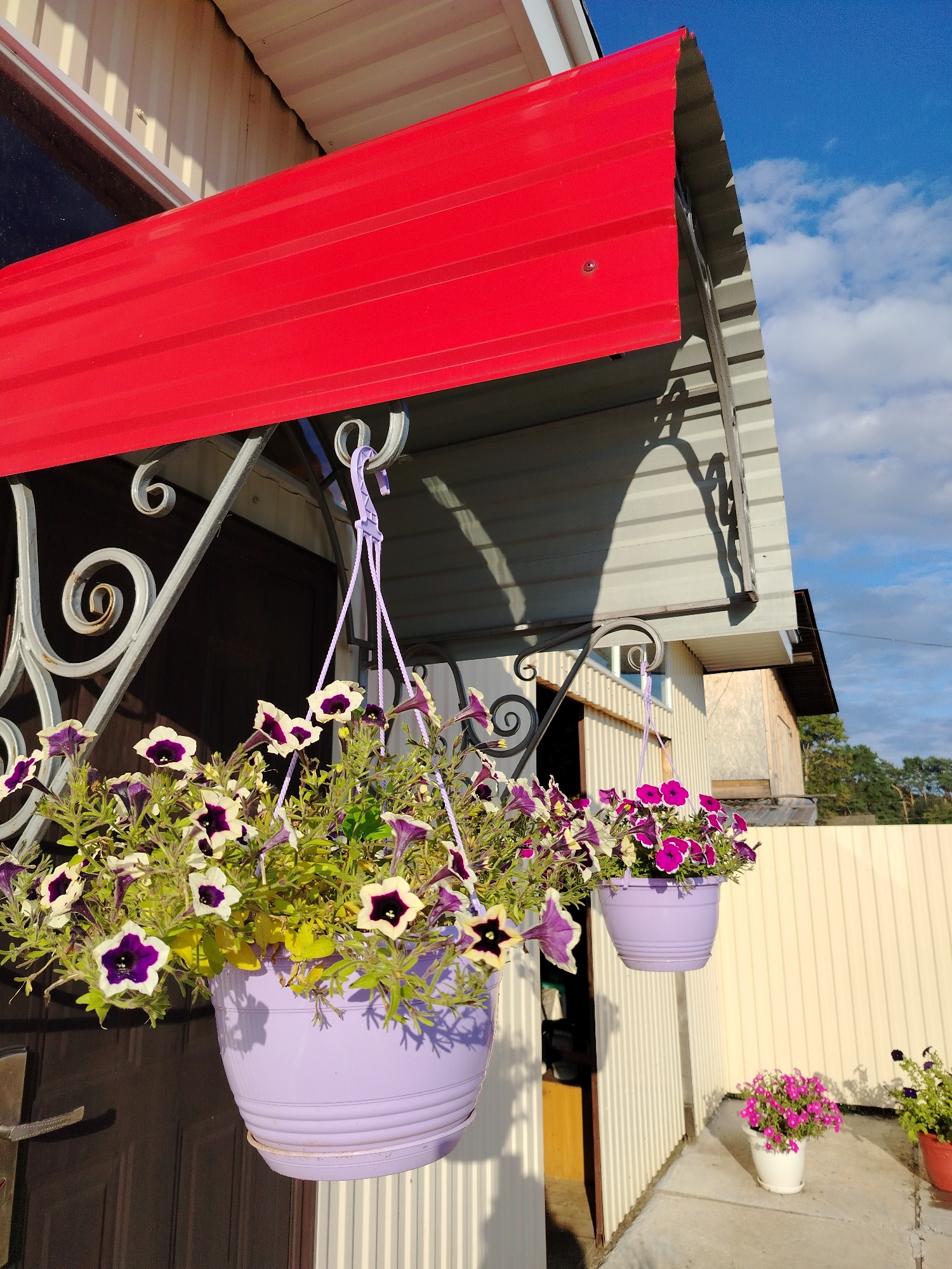 In Rusalevka, Russia, a sunny outdoor scene features a building with a bright red corrugated metal awning. Below the awning, two light purple hanging planters are suspended by purple cords. The left planter is larger and filled with a profusion of petunias displaying purple and white bi-colored blooms, along with some solid purple flowers. The right planter, smaller and positioned higher, contains bright pink petunias. In the foreground, on a light-colored concrete patio, a white pot holds a dense arrangement of pink flowers, and to its right, a red pot contains more purple petunias. The background shows a beige corrugated metal fence and lush green trees under a blue sky with scattered white clouds.