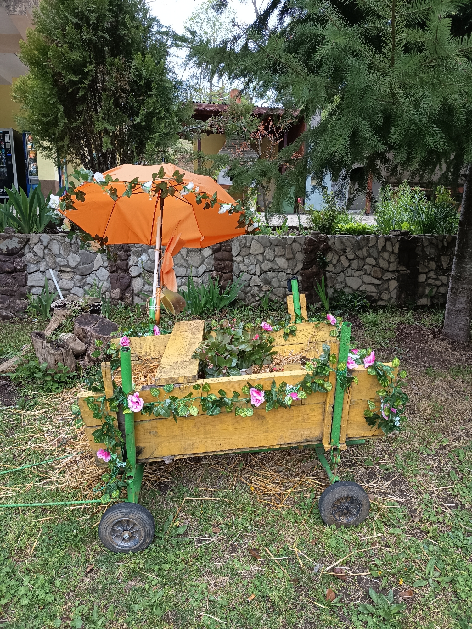 The image depicts a decorated wooden wagon in a garden setting. The wagon is painted yellow with green supports and adorned with artificial pink and white flowers. It sits on two small wheels and appears to contain straw and plants. Above the wagon is an open, orange umbrella also decorated with white flowers. Behind the wagon, there is a stone wall and various trees and shrubs. The ground is covered with grass and straw. The location is in a garden setting, possibly in the city of Unknown, Unknown.