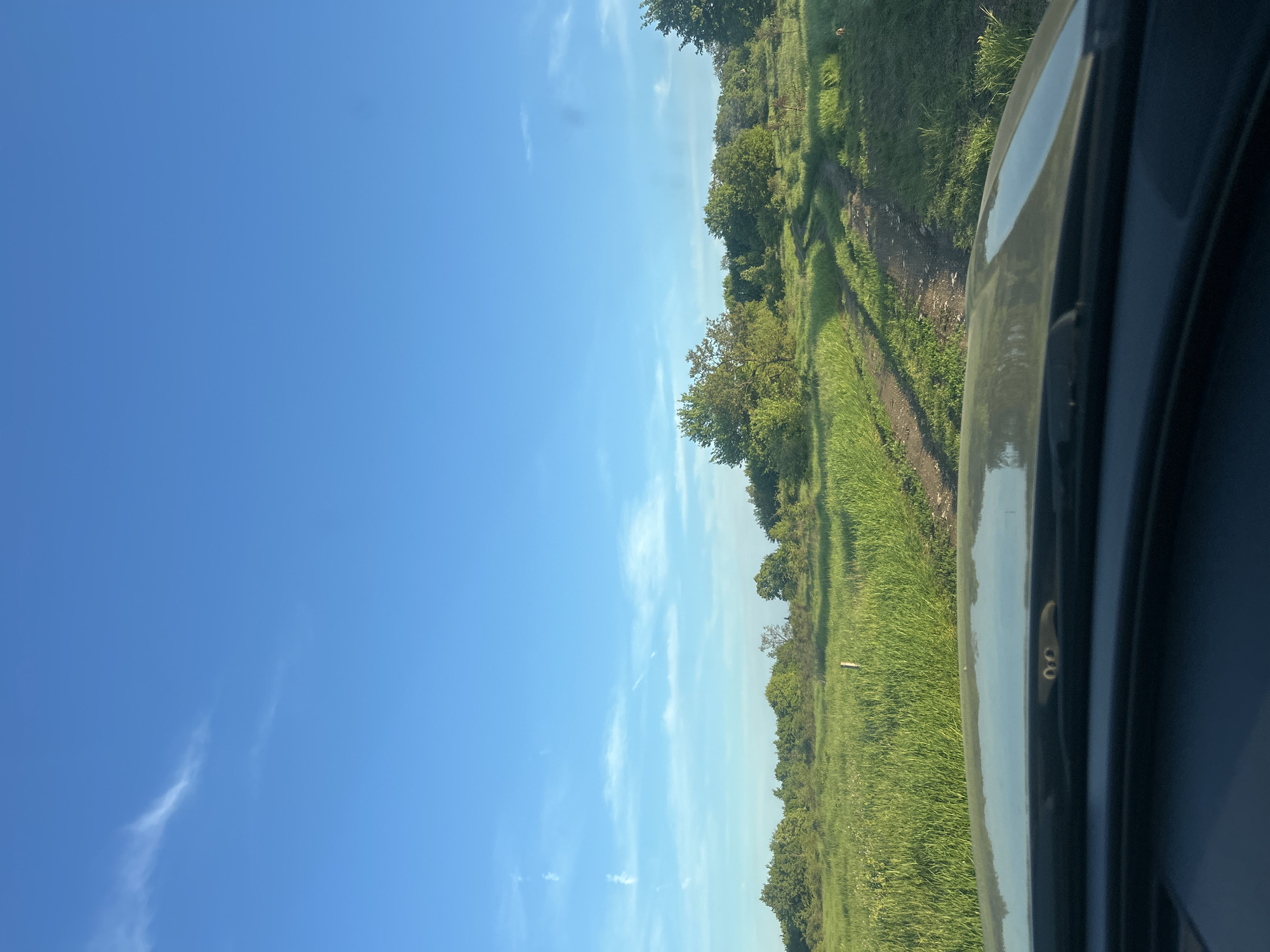 A photograph taken from within a vehicle shows a clear blue sky with faint cirrus clouds on the left. The right side of the image features a green field and trees bordering a dirt track or road. The scene suggests a rural or agricultural setting, possibly viewed from inside a car traveling along the track.