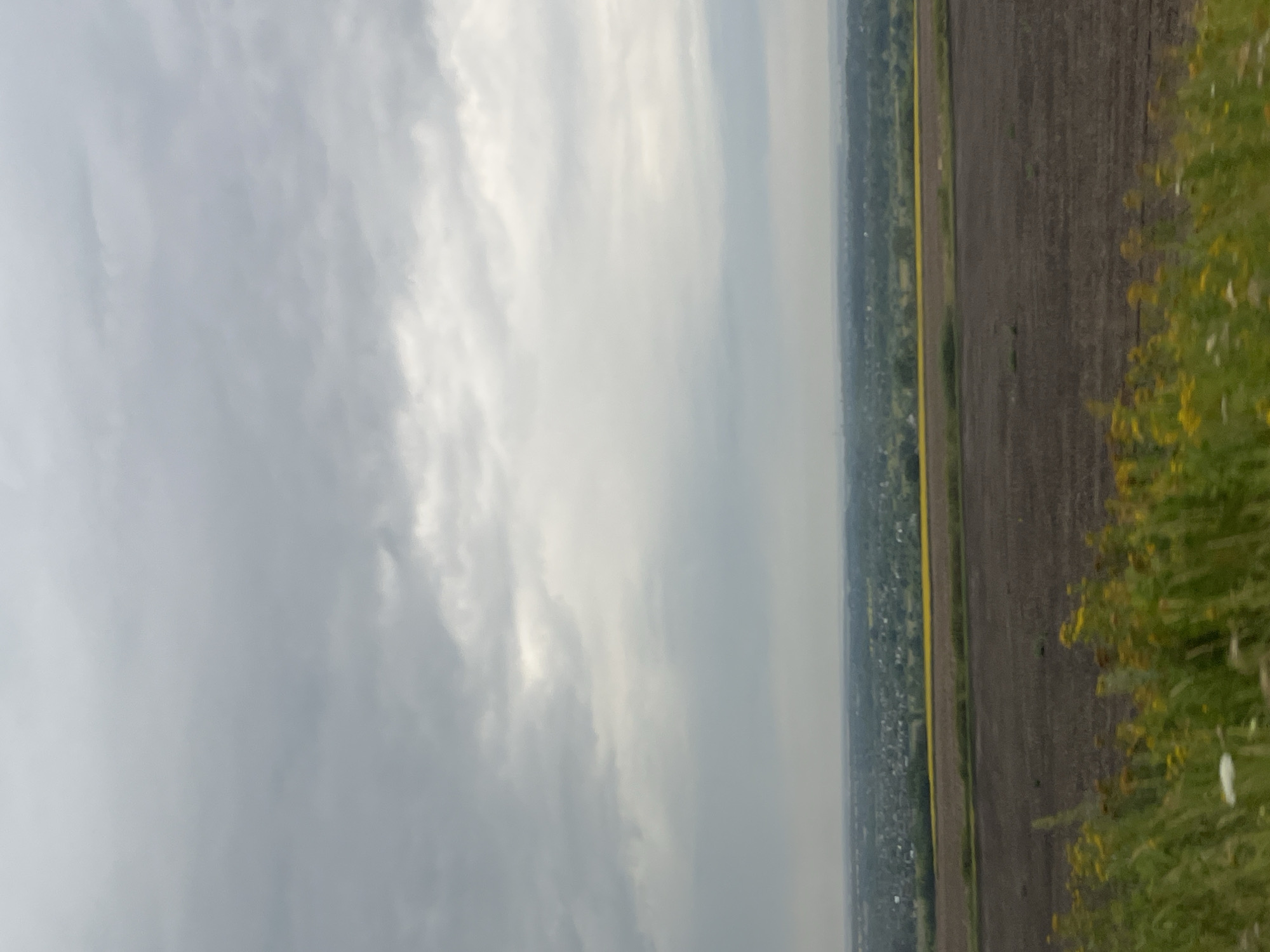 The image shows a wide landscape under a cloudy sky. The foreground features a patch of green grass and yellow wildflowers, some of which are out of focus. Behind the flowers, there is a large, dark brown field that appears to be recently plowed or tilled. Further in the distance, a band of bright yellow fields, possibly crops like canola or rapeseed, stretches across the landscape. Beyond the yellow fields, there is a dense area of trees and greenery, punctuated by buildings that suggest a small town or village. The furthest horizon is hazy and indistinct, merging with the overcast sky. The overall impression is of a rural setting on an overcast day. The image is a vertical shot with the horizon line approximately one-third of the way up from the bottom.