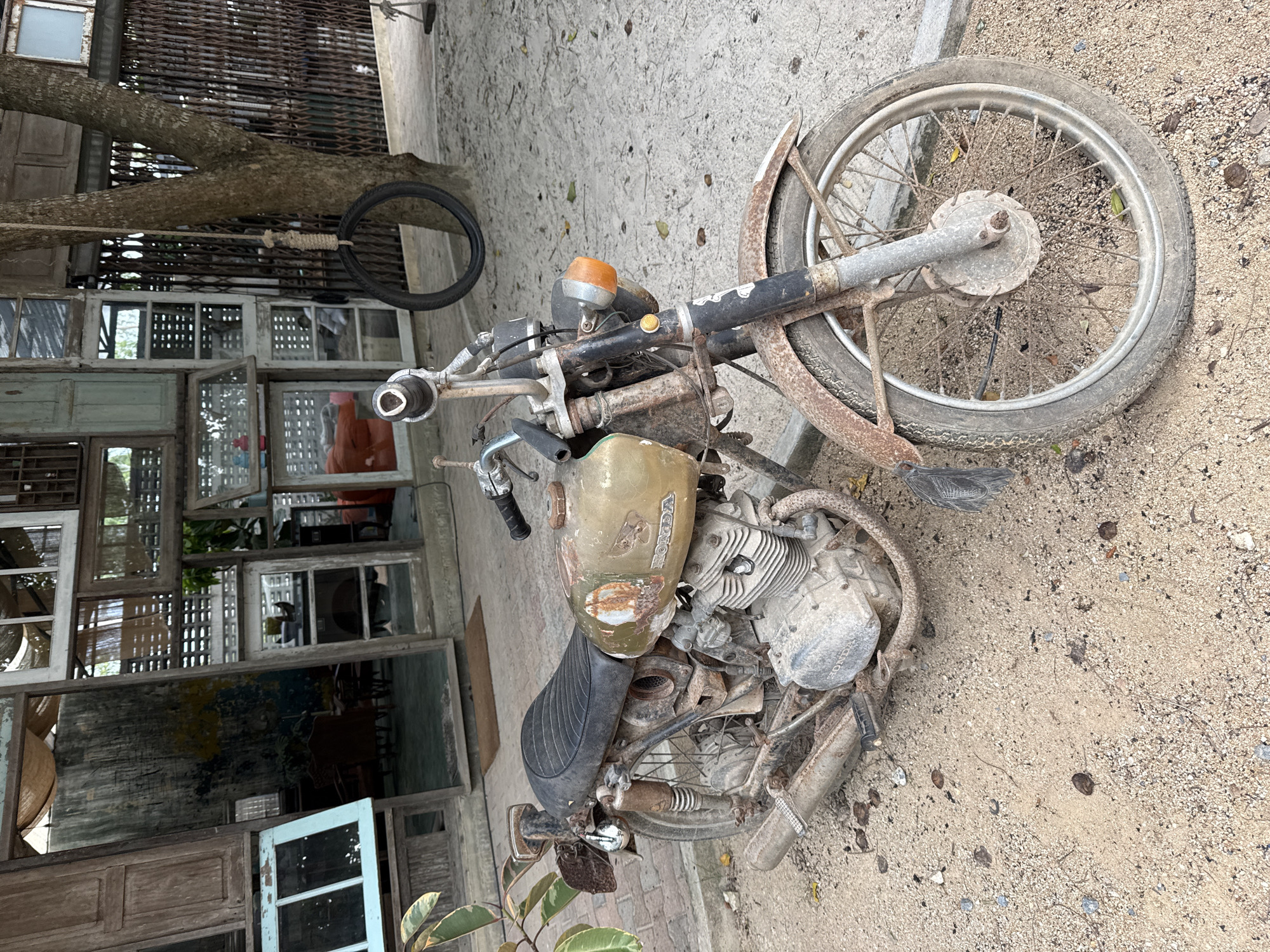 An aged, rusty Honda motorcycle is parked on a sandy surface in front of a building constructed from reclaimed wood and vintage windows. The motorcycle, a vintage model, shows significant signs of wear and tear with rust covering much of its metal components, including the fuel tank, frame, and exhaust pipe. The seat is black and appears worn. The building behind the motorcycle features a patchwork of window frames and wooden panels, with some windows displaying reflections of the interior, which seems to be furnished with chairs and tables. A tree with a tire swing hangs to the right of the motorcycle, suggesting an outdoor recreational area or a unique garden space. The ground is covered in sand, scattered with small stones and fallen leaves. The overall impression is one of a rustic and perhaps abandoned or deliberately preserved vintage aesthetic, common in parts of Ko Samui District, Thailand, where repurposed materials and a laid-back atmosphere often characterize local businesses or residences.