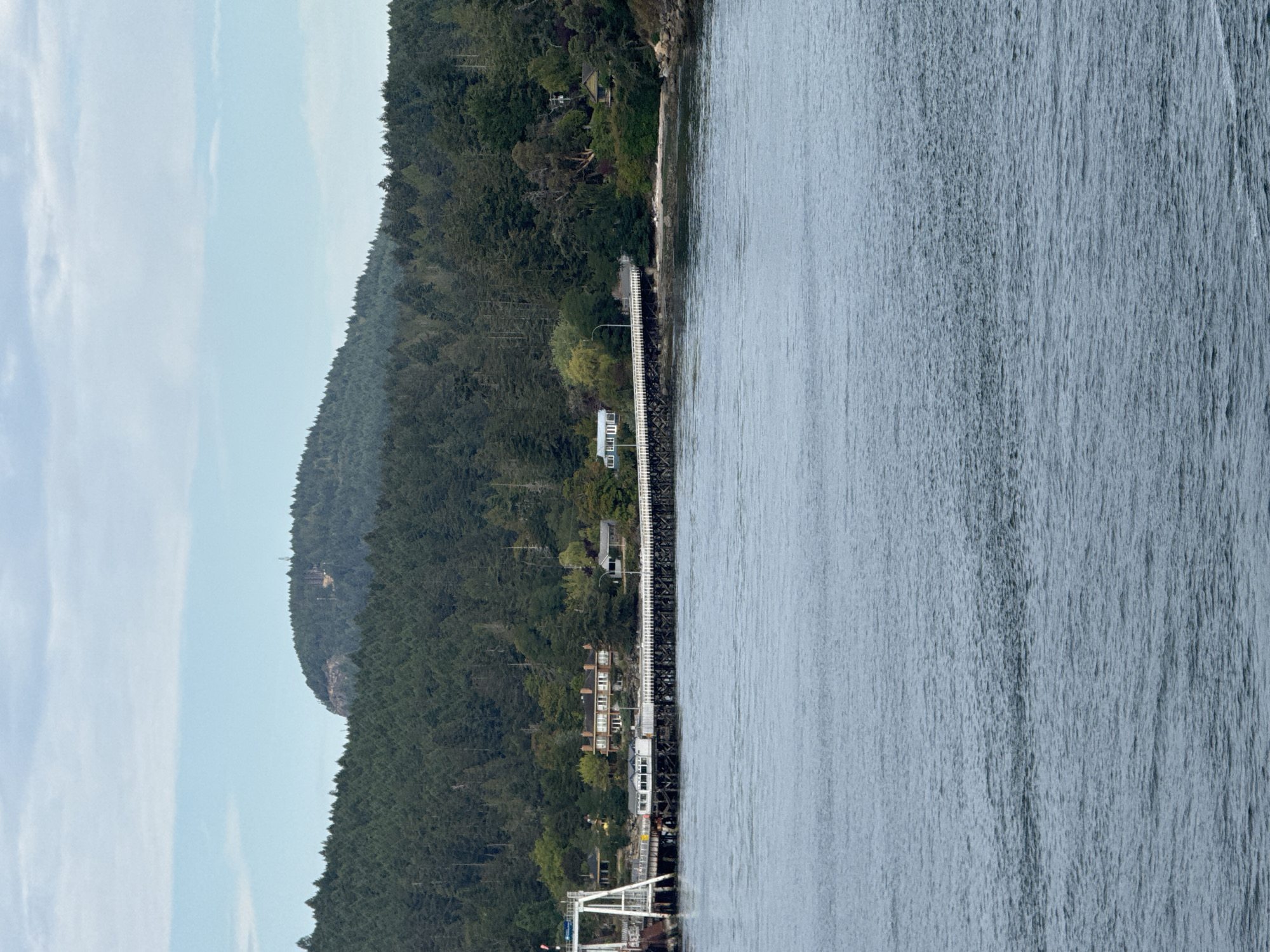 This is a landscape photograph taken from the water, looking towards a shoreline on a cloudy day. The foreground is dominated by the calm, rippled surface of the water, which takes up the bottom half of the image.
In the middle ground, a long, white pier extends from the left side of the frame towards the right. The pier is lined with white railings and is supported by dark pilings. Several buildings are visible on the shore behind the pier. One prominent building is a large, multi-story structure with a brick facade and multiple windows. To its left, a white ferry terminal structure is partially visible. Further to the right along the shore, more houses and structures are nestled amongst the trees.
The background features a dense, dark green forest that covers the slopes of a hill. At the very top of the hill, a rocky outcrop is visible, with some radio towers or antennas on its summit. The sky above is a pale blue with scattered white clouds. The location is identified as Southern Gulf Islands Electoral Area, Canada. There are no people or animals clearly visible in the frame. The scene appears to be a coastal settlement, likely a ferry terminal or small town on one of the Gulf Islands.