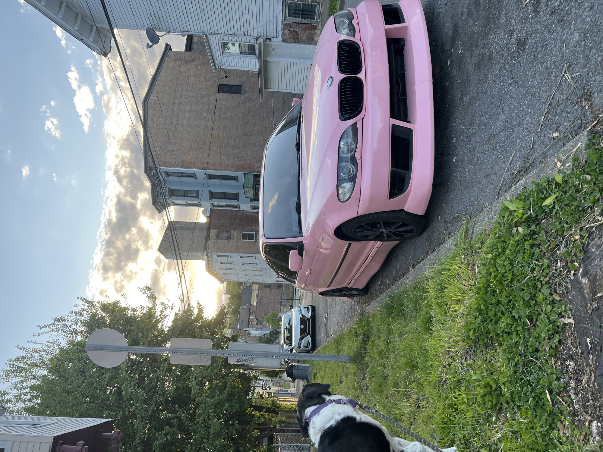 A pink BMW is parked on the right side of a narrow residential street in the City of Newburgh, NY. The street has a sidewalk lined with grass on the right side and asphalt. Buildings are seen behind the car on the left side of the street. A white Nissan Sentra is parked behind the pink BMW. A black and white dog wearing a purple harness is standing on the sidewalk. A street sign can be seen on the left side of the image. The sky is visible and has clouds.