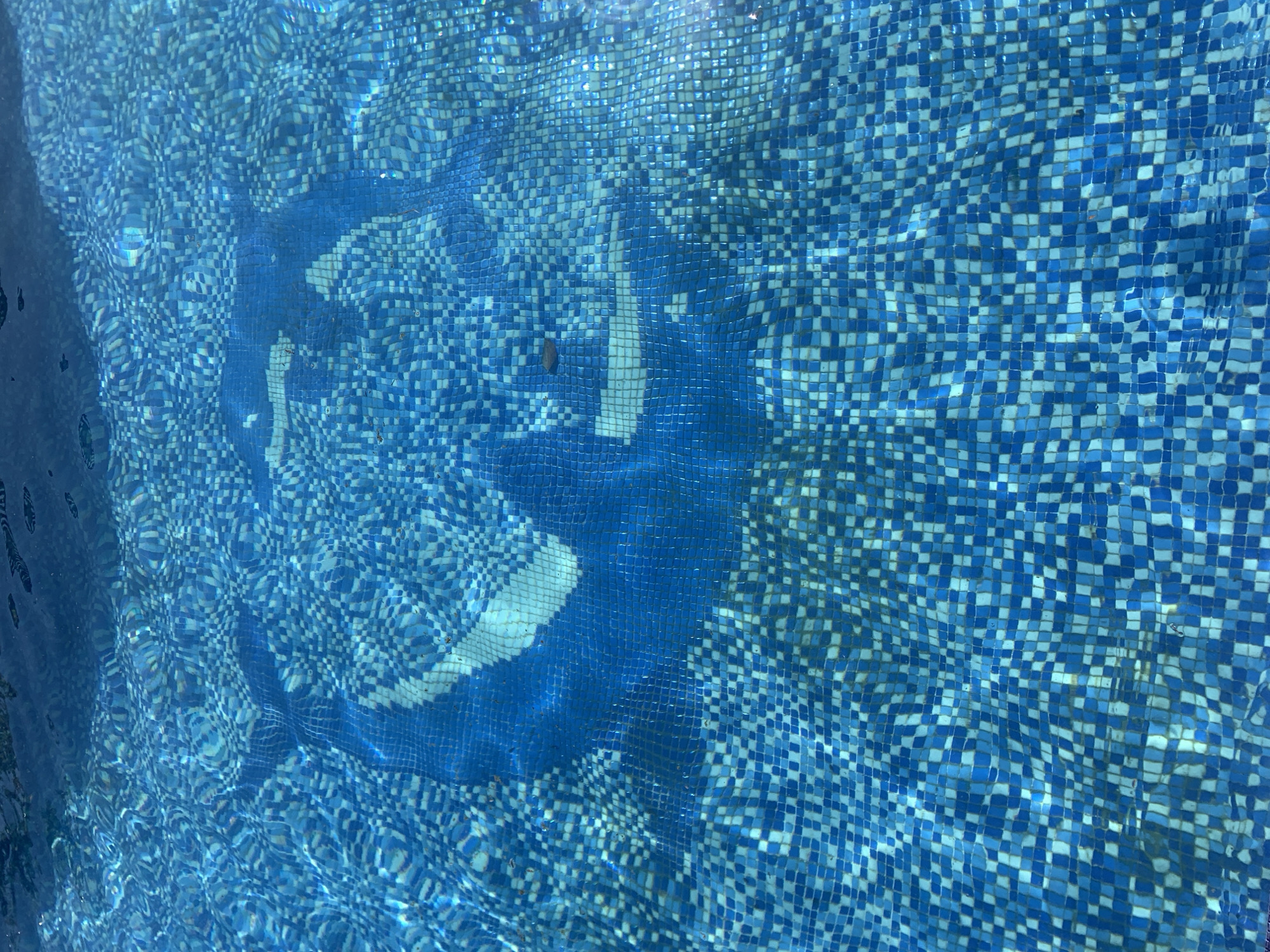 The image shows the bottom of a swimming pool in Sabunchu Raion, Azerbaijan. The pool is tiled with small blue and white square tiles, creating a mosaic pattern. There is a white or light blue graphic embedded in the pool floor, appearing to be a stylized shark. The water is clear and reflects the sunlight, causing ripples and distortions across the tiled surface and the graphic. A few small dark specks, possibly debris or insects, are visible on the water's surface.