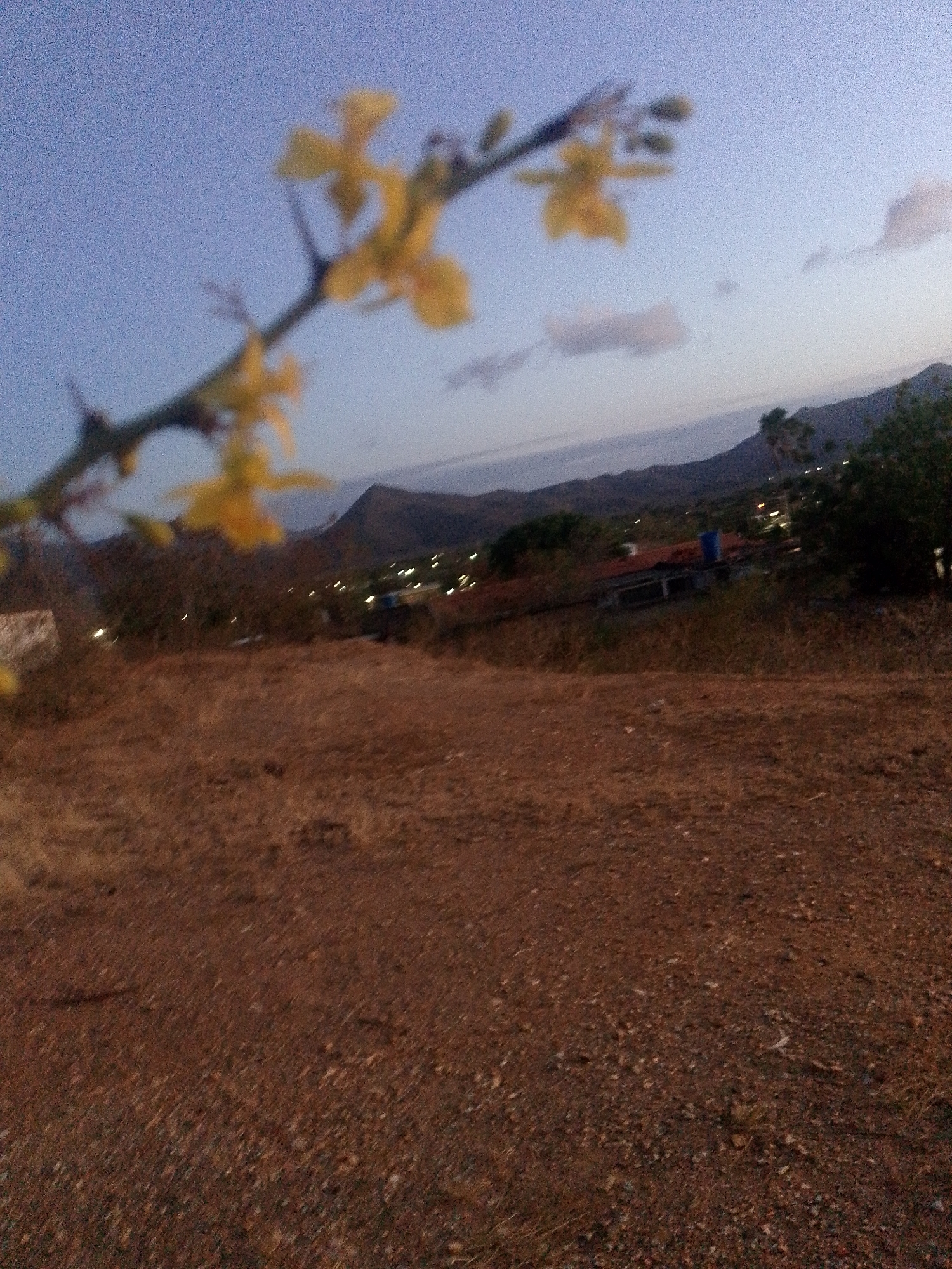The image captures a scene in Juan Griego, Venezuela, at dusk or dawn. The foreground consists of a brown, dry, dirt ground. A blurred branch with yellow flowers is in the upper left. In the midground, there's some vegetation, a building with a red roof, and what appears to be the lights of houses. In the background, there are mountains under a sky with scattered clouds.
