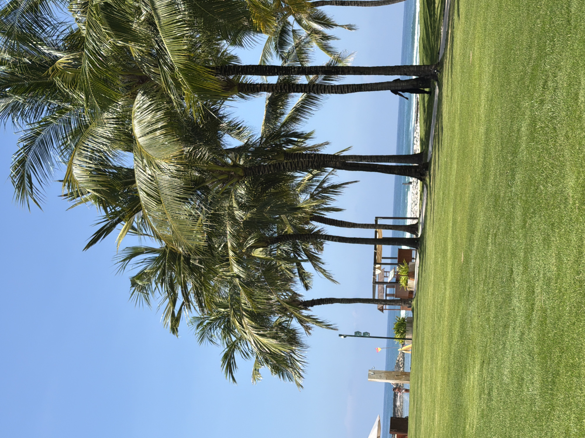 The image depicts a tropical beach scene in Nusa Dua, Indonesia. Several tall palm trees with green fronds line the edge of a vibrant green lawn that slopes towards a sandy beach and the ocean. The trees are spaced apart, allowing views of the light blue sea and sky. In the background, there's a glimpse of what appears to be beachside infrastructure, like a shower and a lifeguard station. The overall impression is one of a well-maintained tropical resort area with a clear sky and calm sea. A person is walking near one of the palm trees.