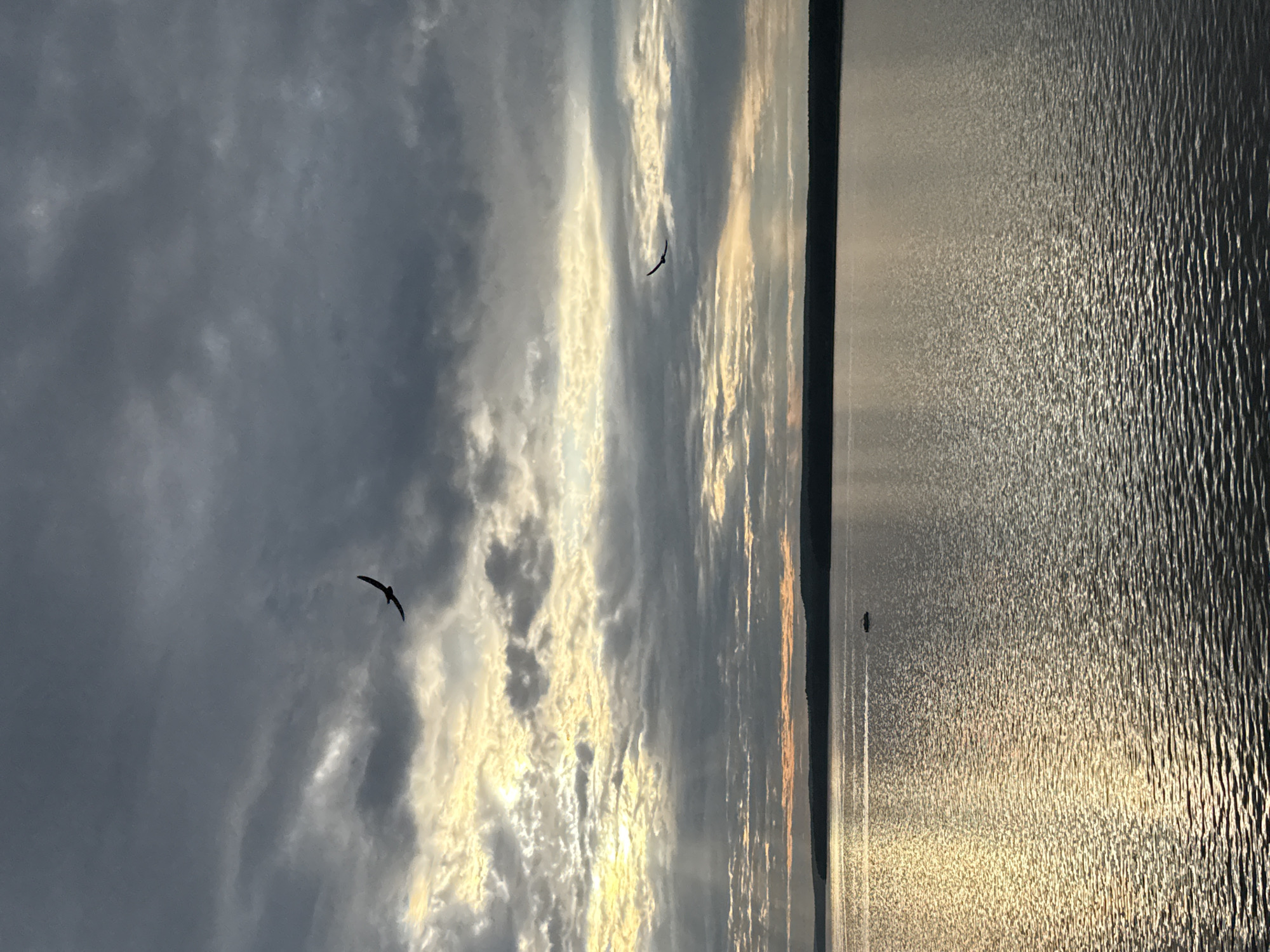 The image depicts a serene natural scene on a body of water, likely a lake or large river, under a dramatic sky filled with clouds. The foreground is dominated by the rippling water, reflecting the subdued light of the sky. In the distance, a dark, undulating silhouette of a tree line marks the horizon. Above this, the sky is a spectacle of light and shadow. Heavy, dark clouds dominate the upper portion, but breaks in the cloud cover allow shafts of golden sunlight to pierce through, illuminating patches of lighter clouds and casting rays onto the water. Two birds are silhouetted against the sky, captured in mid-flight. A small, dark object, possibly a boat or a raft, is visible on the water in the middle ground. The overall mood is one of quiet contemplation and natural beauty, characteristic of a landscape photograph. The mention of Votkinsk, Russia, suggests this scene is located in or near that city, which is known for its picturesque setting on the Kama River and its association with the composer Tchaikovsky.