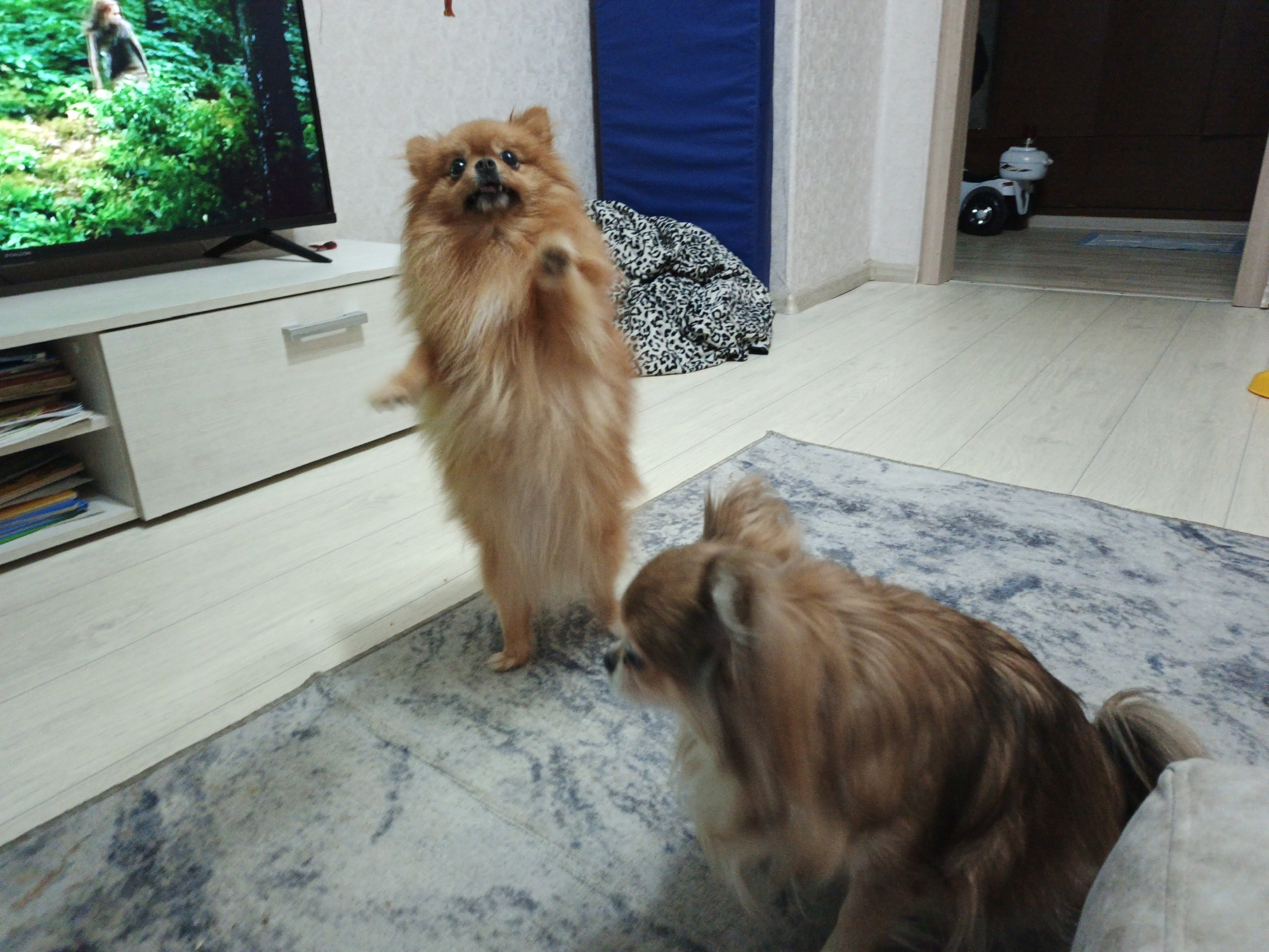 Memory