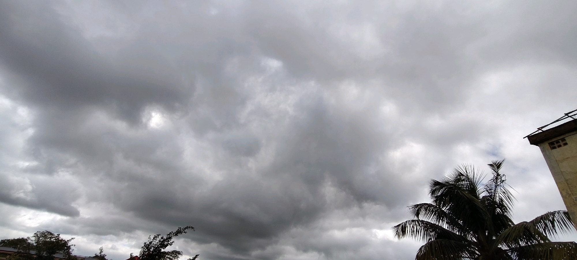 The image captures an overcast sky above a semi-urban landscape in Belagavi, India. Heavy, dark grey clouds dominate the scene, suggesting imminent rain or a recent downpour. In the lower right corner, the edge of a light-colored, multi-story building with a brown roofline and visible brickwork openings is visible, partially obscured by the fronds of a dark green palm tree. The palm tree’s leaves are silhouetted against the stormy sky. In the lower left and center-left of the image, the tops of other trees with dense foliage are visible, appearing dark and lush against the muted sky. The overall impression is one of a humid, tropical climate preparing for or experiencing inclement weather.