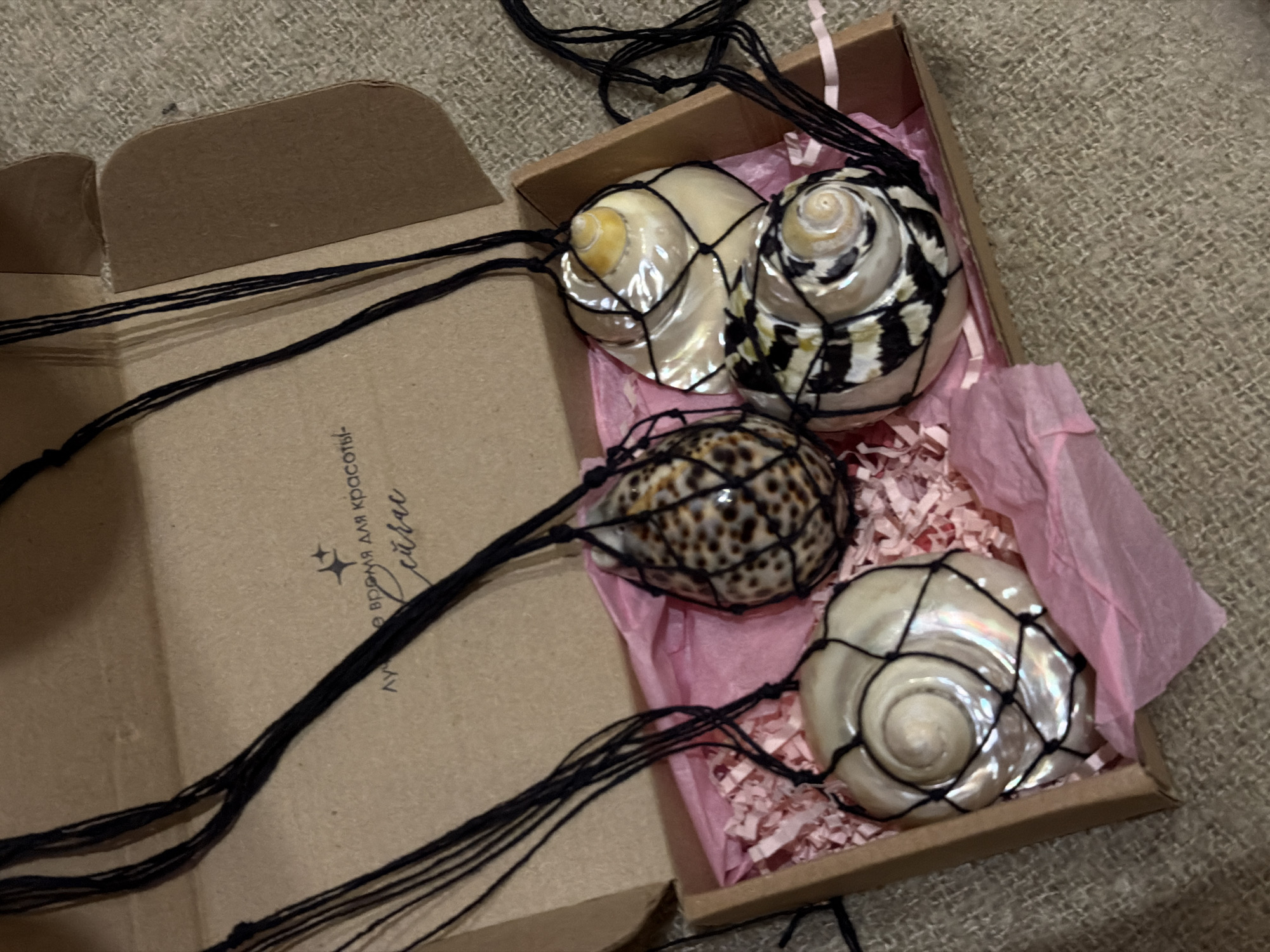 This image presents an overhead view of four decorative spiral seashells, each encased in a black net-like cord. These items are displayed within an open, light-brown cardboard box, which is lined with pink shredded paper or tissue. The box rests on a textured, light-colored fabric surface.
The seashells vary in appearance: two are iridescent, displaying a pearly white sheen; one features distinct black and white striped patterns; and another has mottled brown and black, leopard-spot-like markings. Long black cords extend from each shell's net casing, trailing out of the box, suggesting they are designed as necklaces or hanging adornments.
On the inside flap of the cardboard box, visible in black script, is Cyrillic text. The text reads "Время для красоты" (Time for beauty) and, partially visible below it, "Сейчас" (Now), likely part of a phrase like "Лучше сейчас" (Better now).
The scene is a static arrangement, possibly a product presentation or a packaged gift. There are no people visible, and no specific activity is taking place beyond the display of the objects. The indoor lighting does not indicate a particular time of day or weather. There are no visual cues in the image to confirm the provided location of Khimki, Russia.